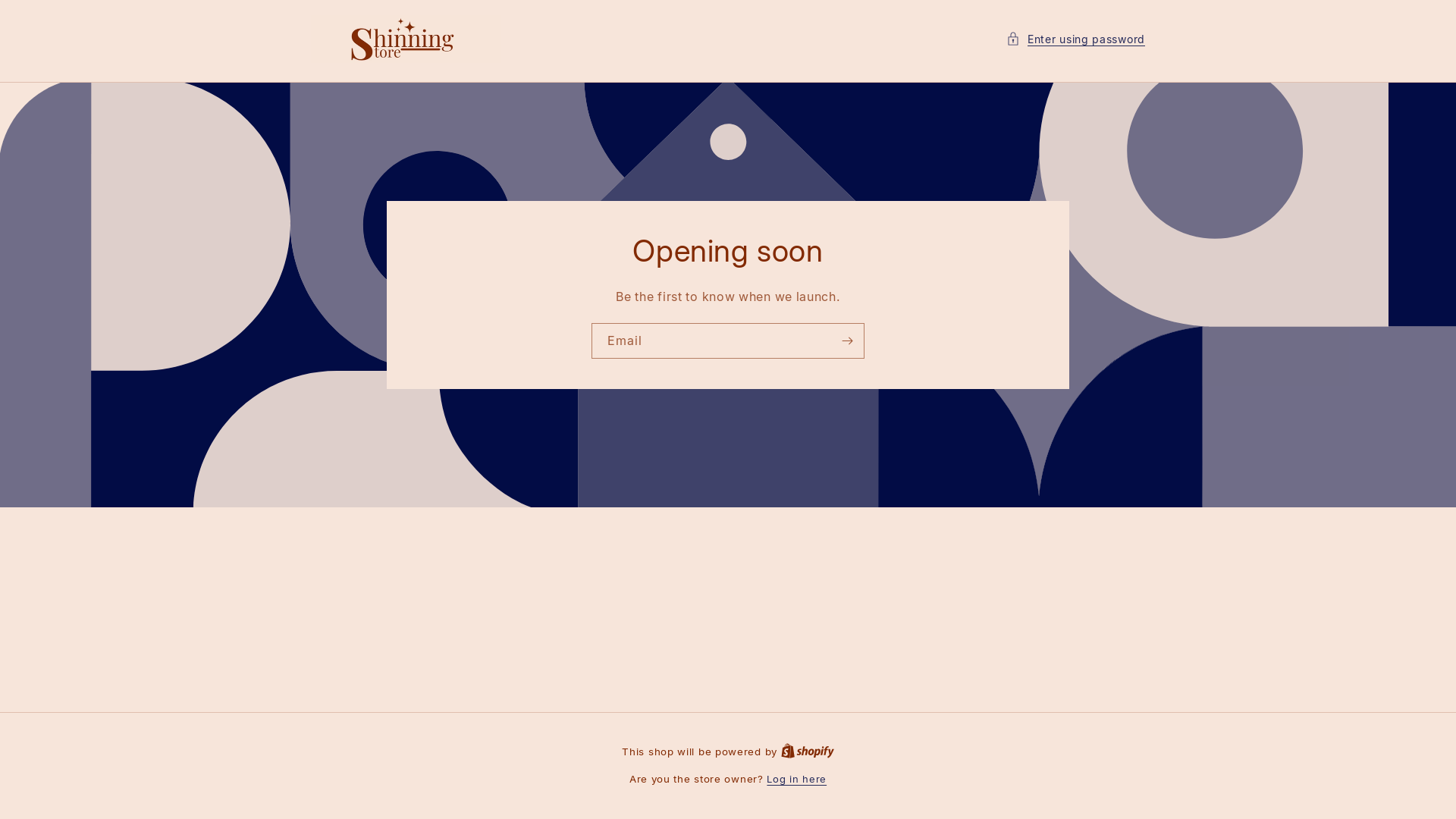 website screenshot of https://shinningstore.in/