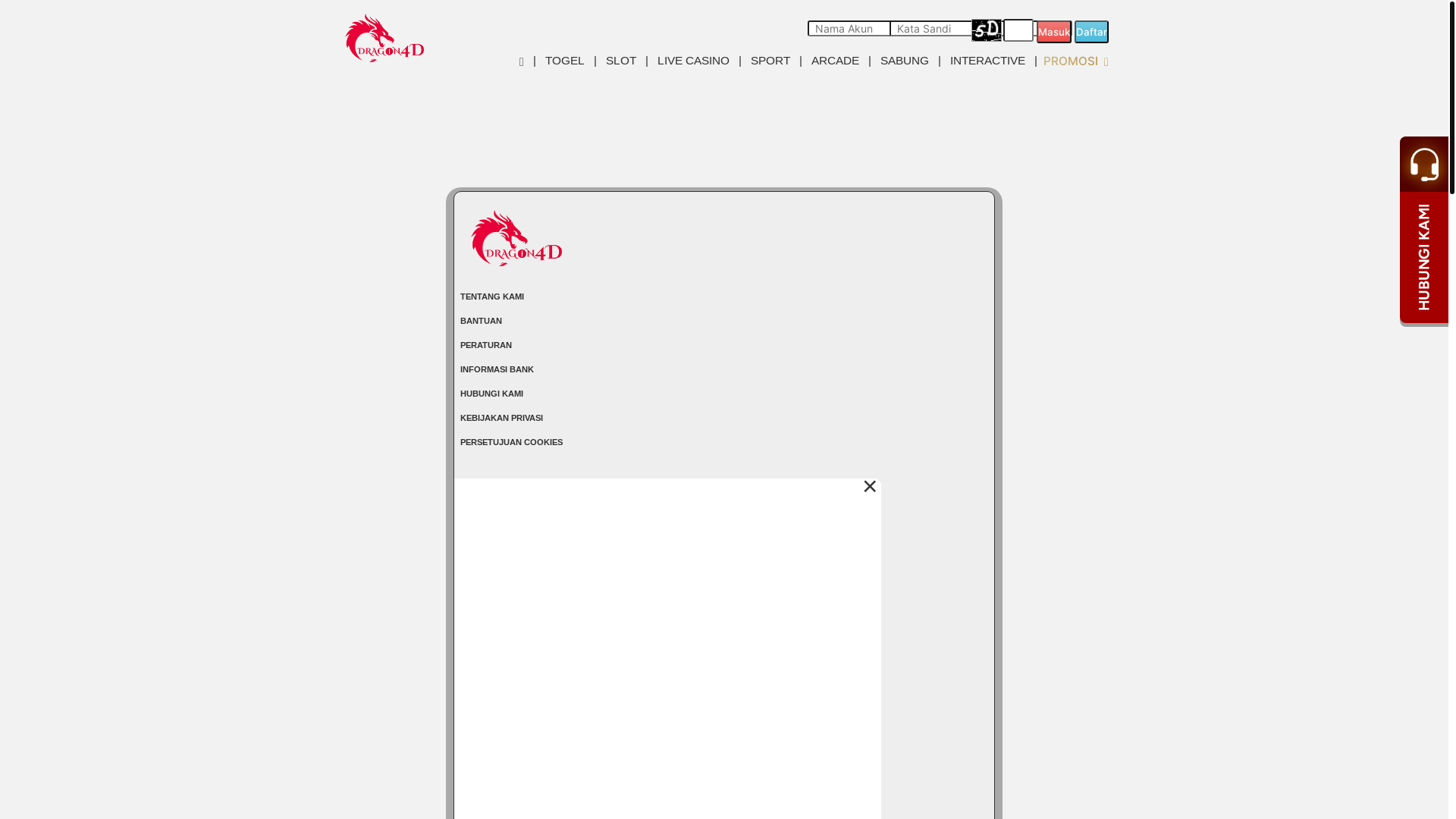 website screenshot of https://dragon4dsky.com/