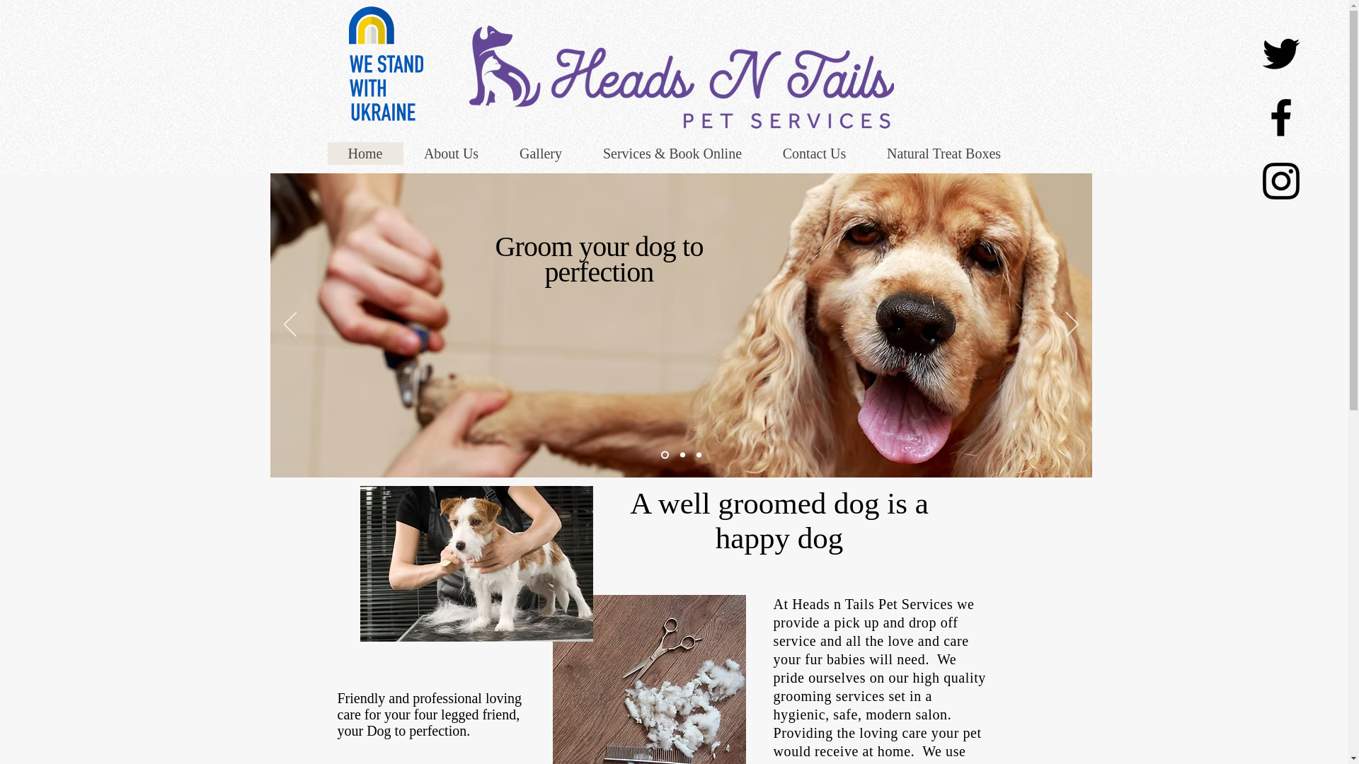 website screenshot of https://wagsandwhiskerspetgroomer.co.uk/