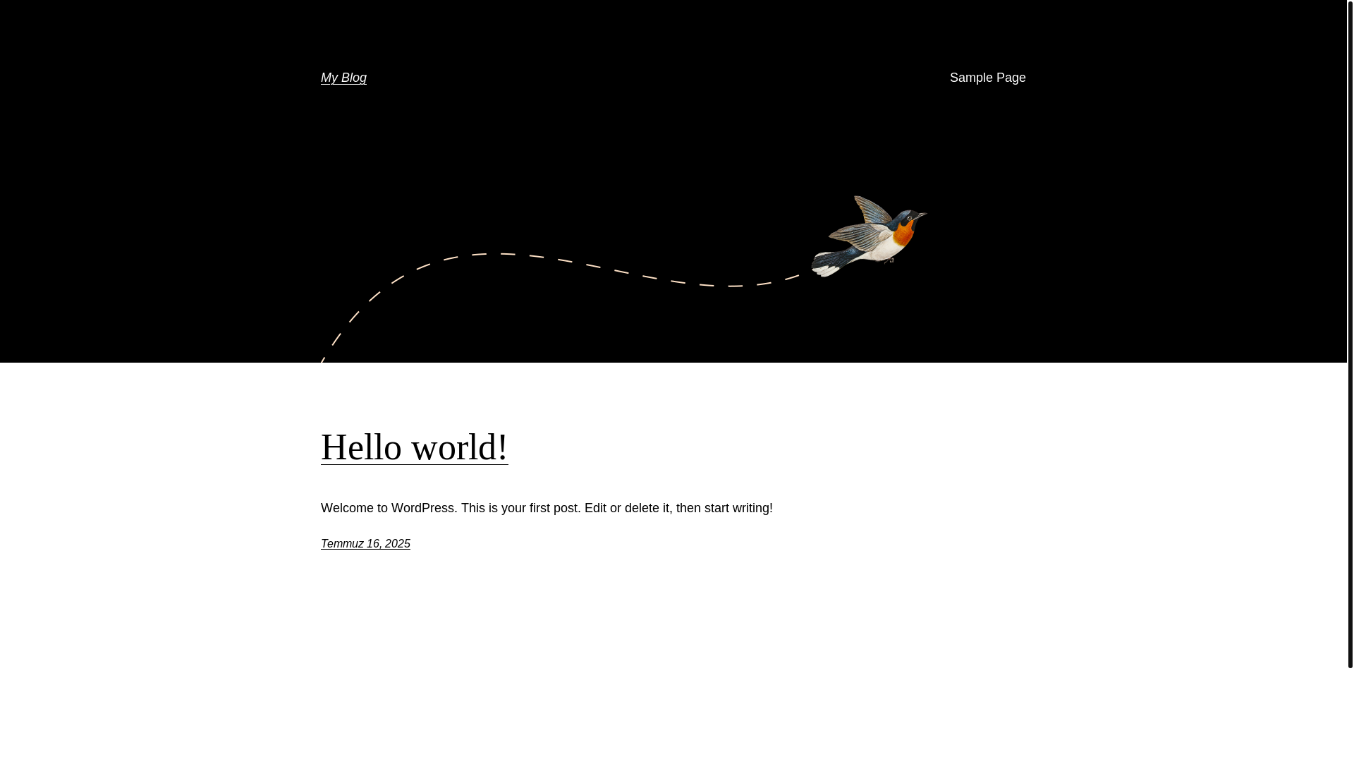 website screenshot of https://afyondugunorganizasyon.com/
