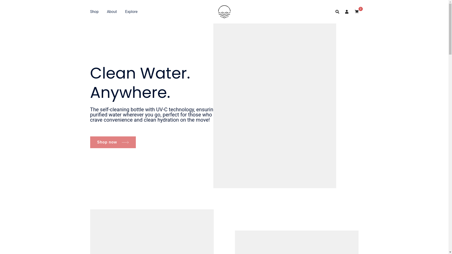 website screenshot of https://cleanbottlepro.com/