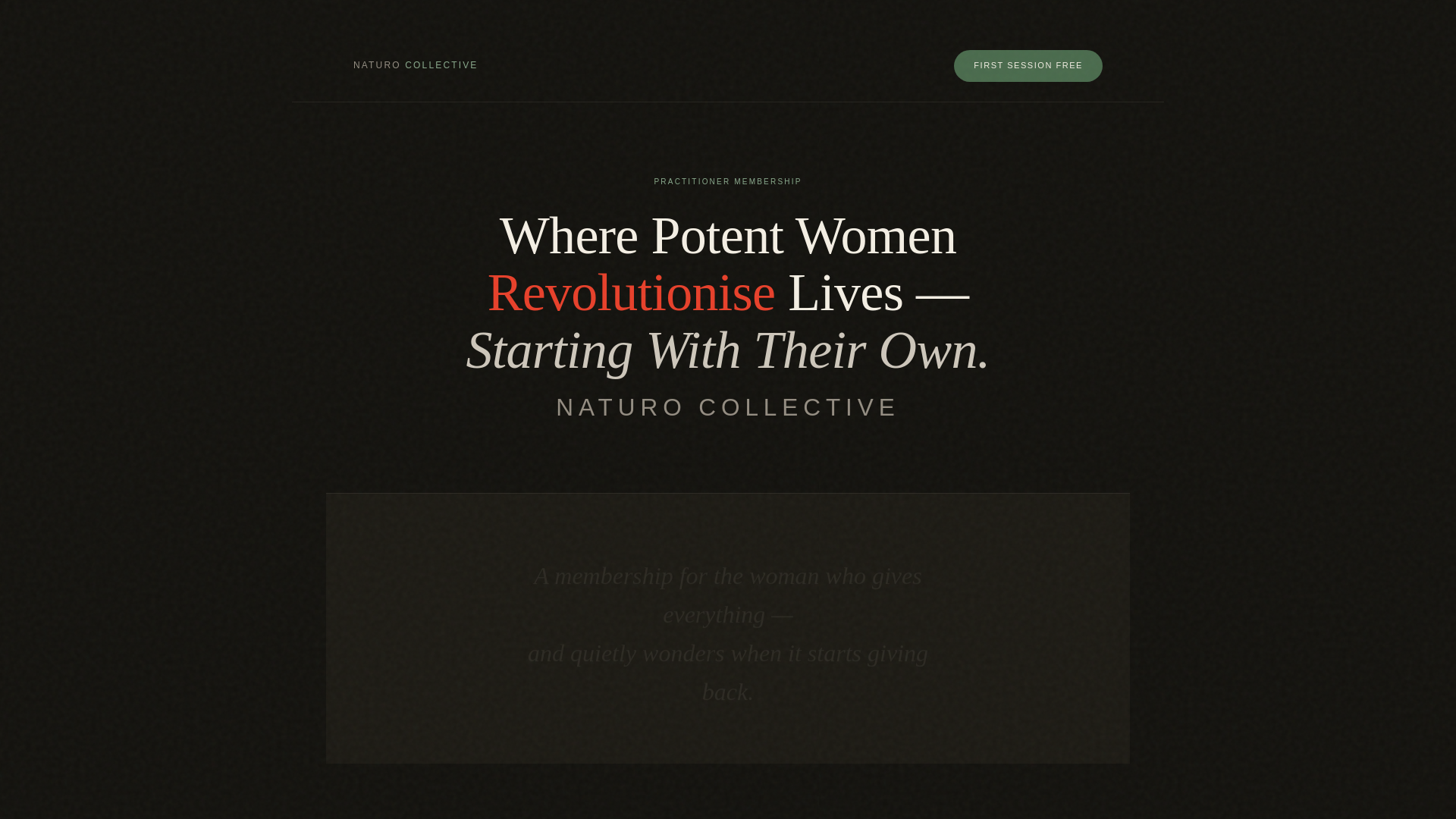 website screenshot of https://naturocollective.com/