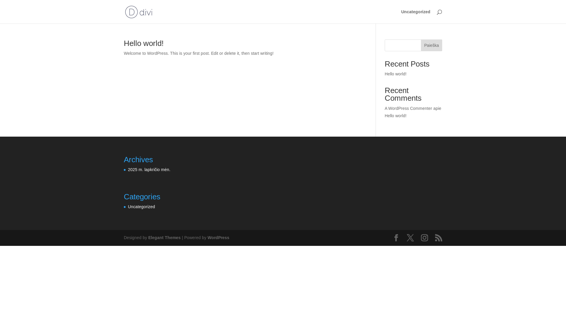 website screenshot of https://instant-pot.lt/