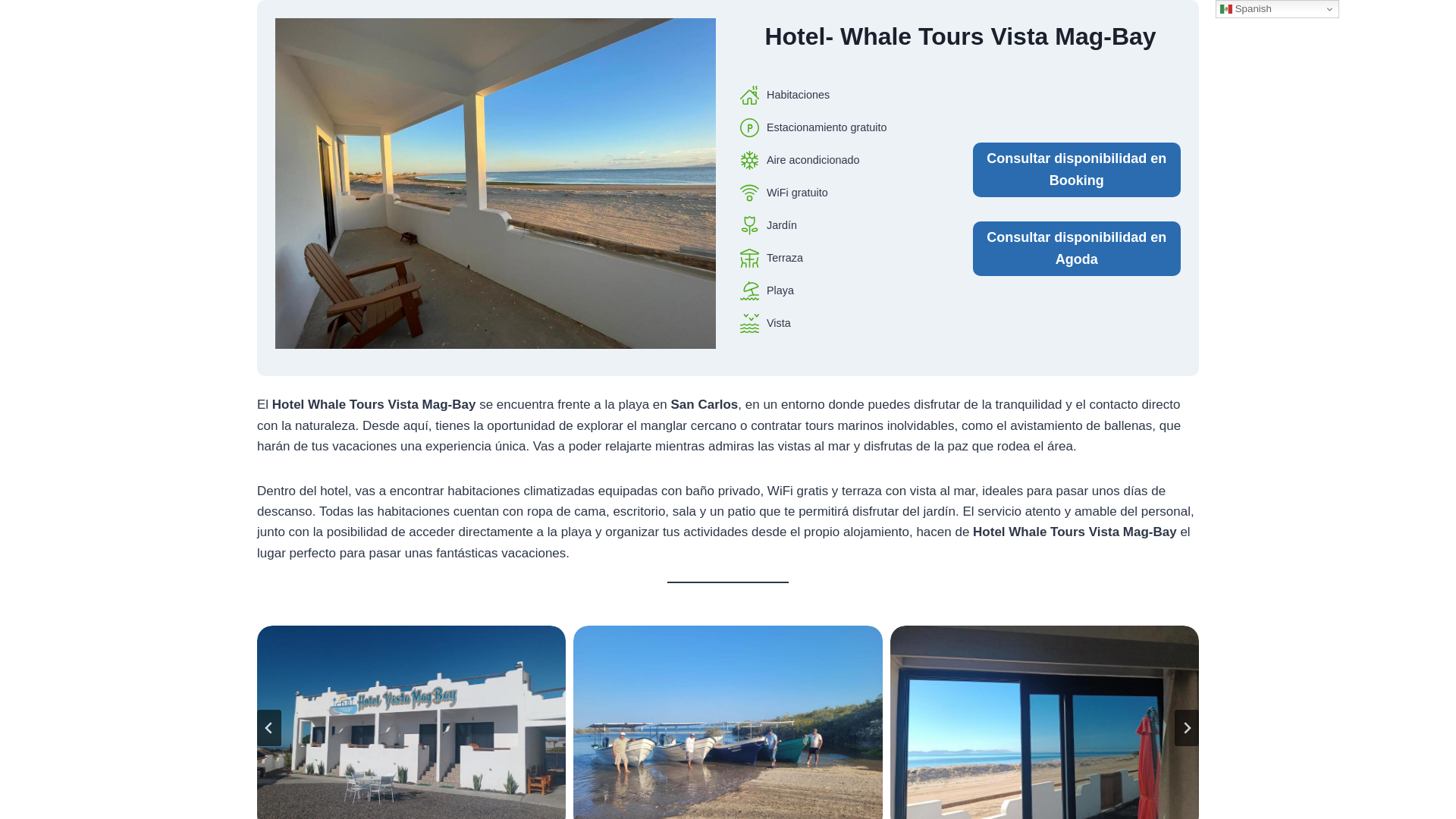 website screenshot of https://hotelvistamagbay.top