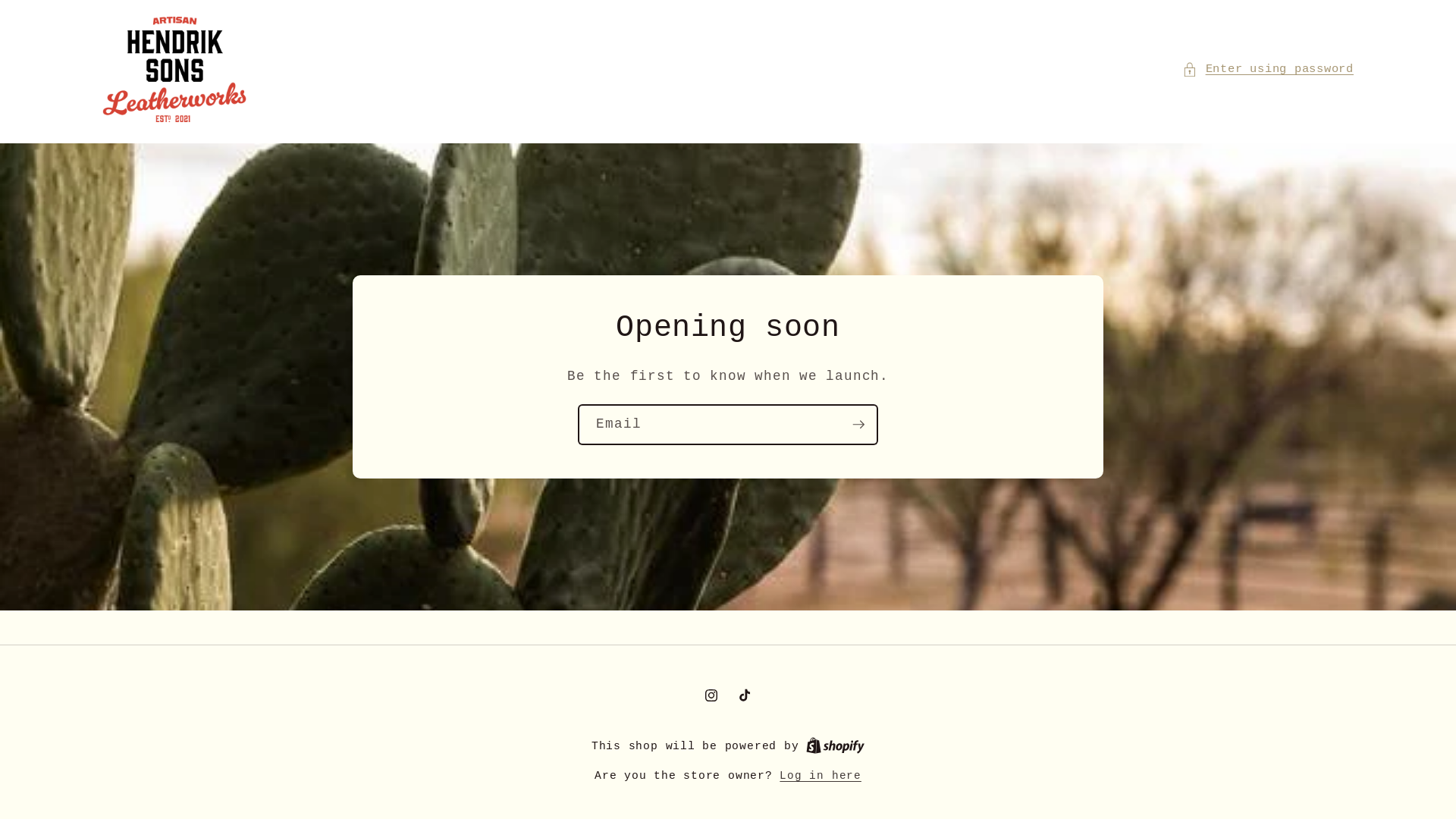 website screenshot of https://hendrik-sons.com/