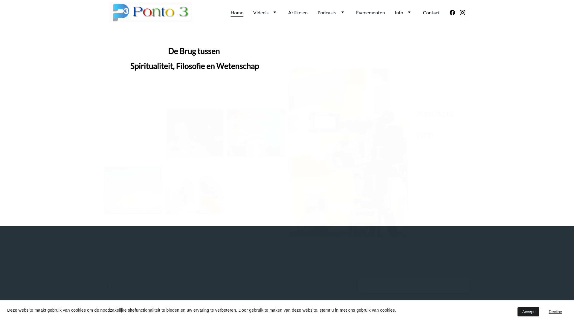 website screenshot of https://ponto3.eu/