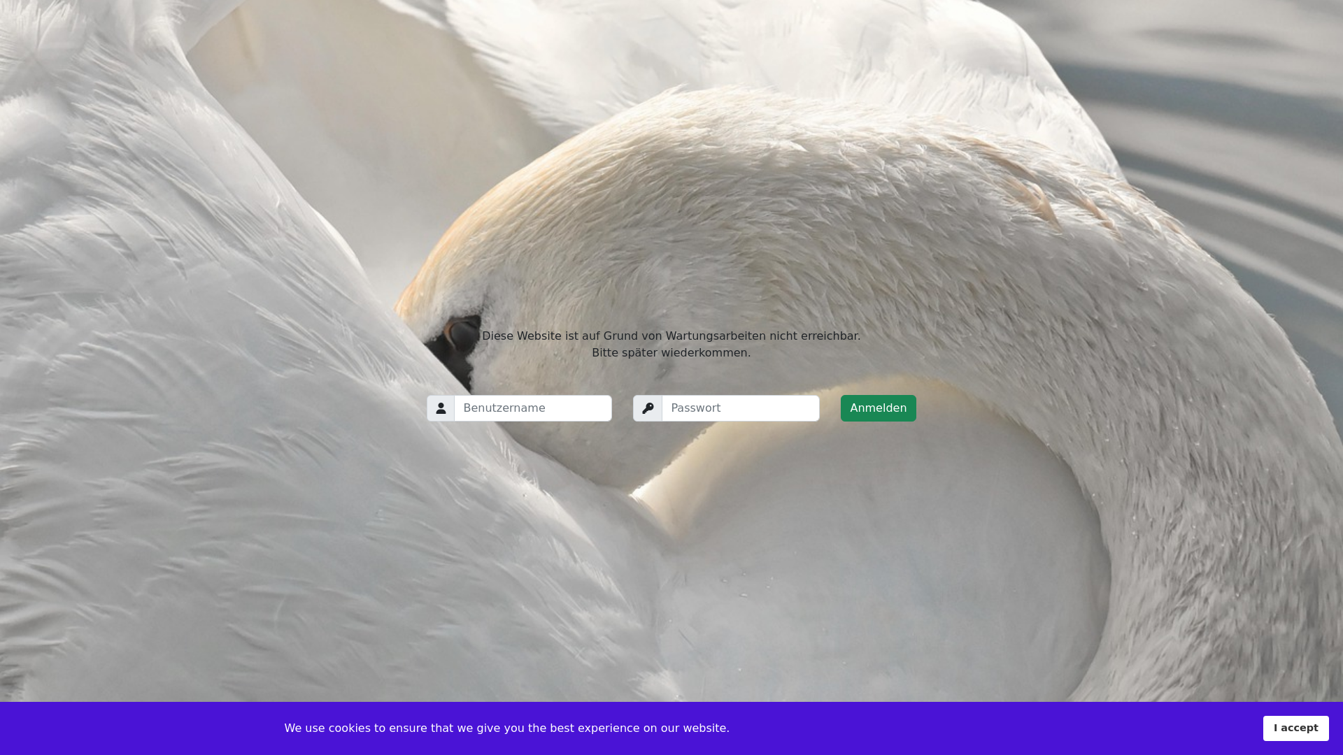 website screenshot of https://wormser-parkinson-treff.info/