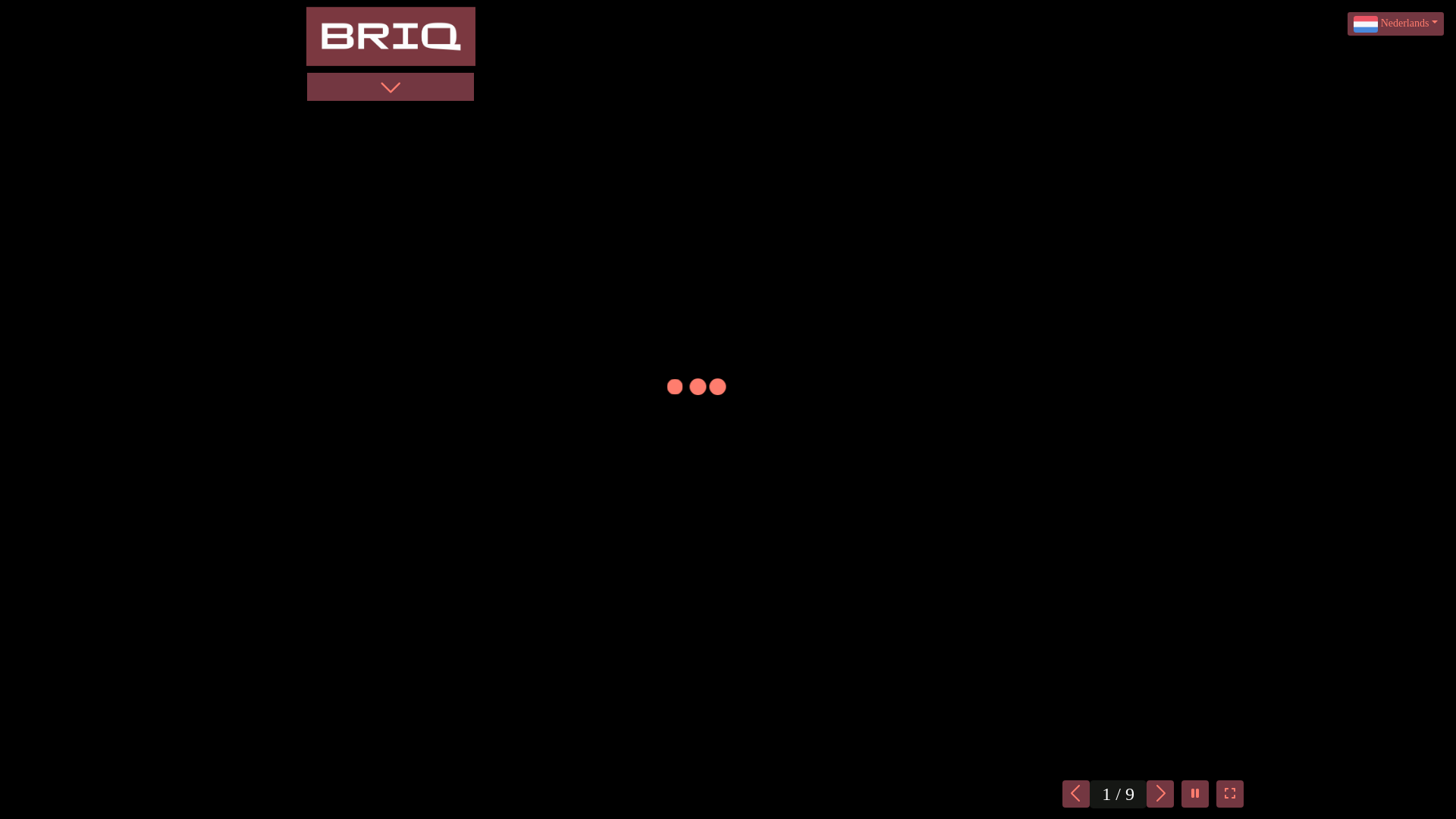 website screenshot of https://mandenmakerstraat100b.nl/