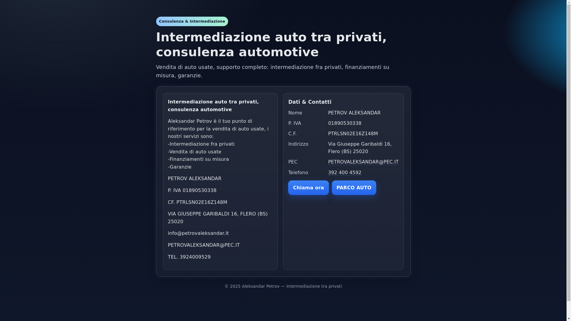 website screenshot of https://petrovaleksandar.it/