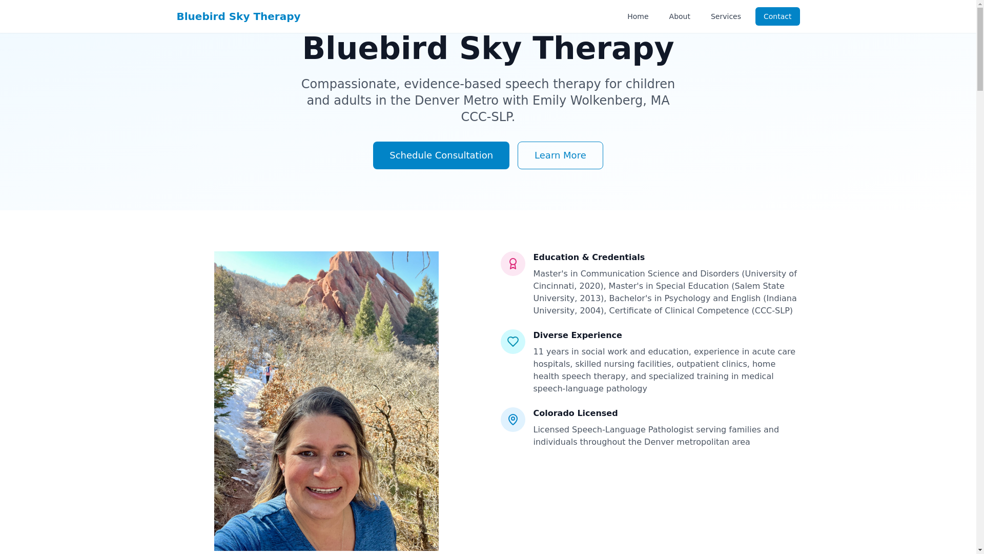 website screenshot of https://bluebirdskytherapy.com/