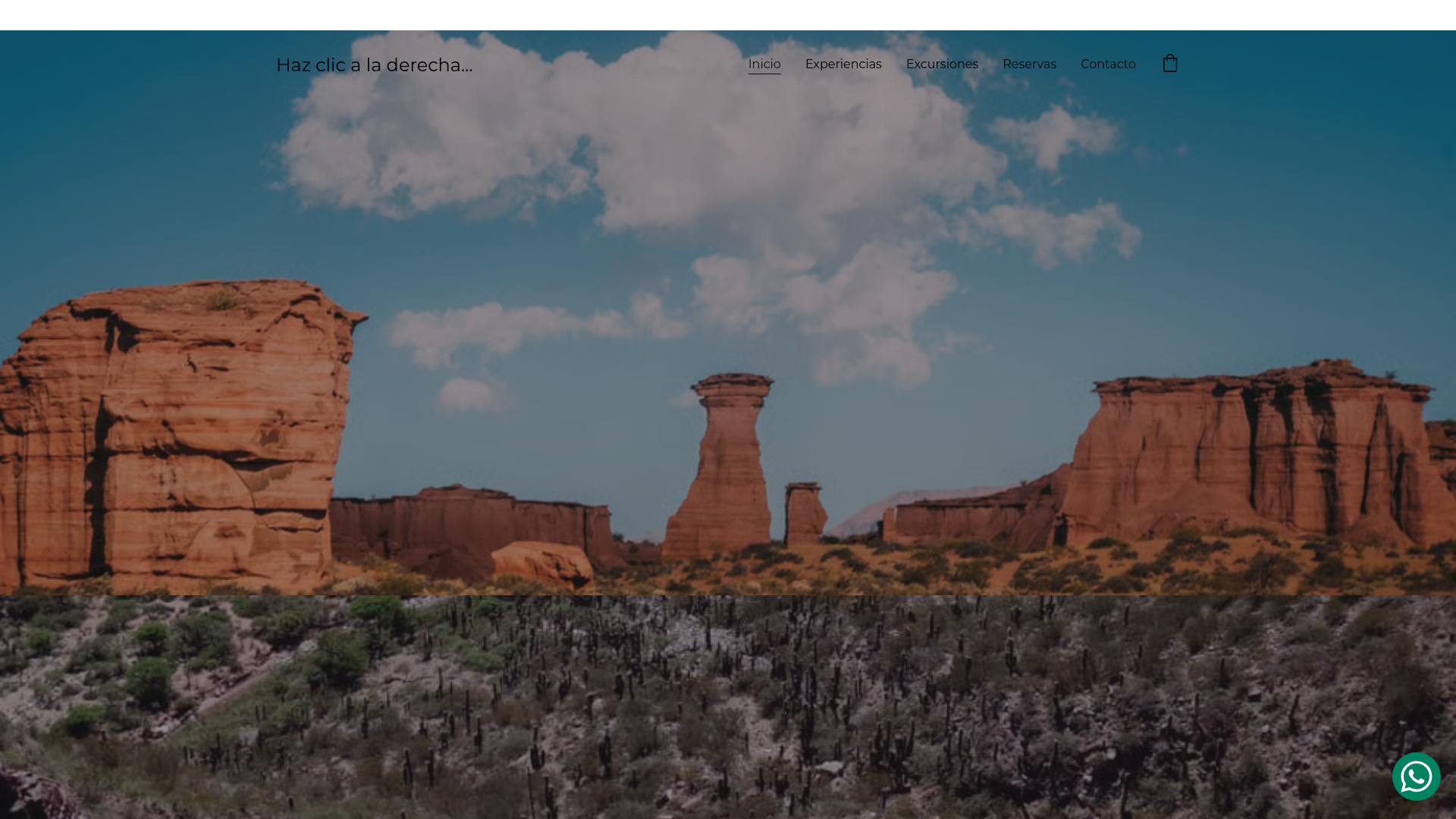website screenshot of https://excursionesenlarioja.com