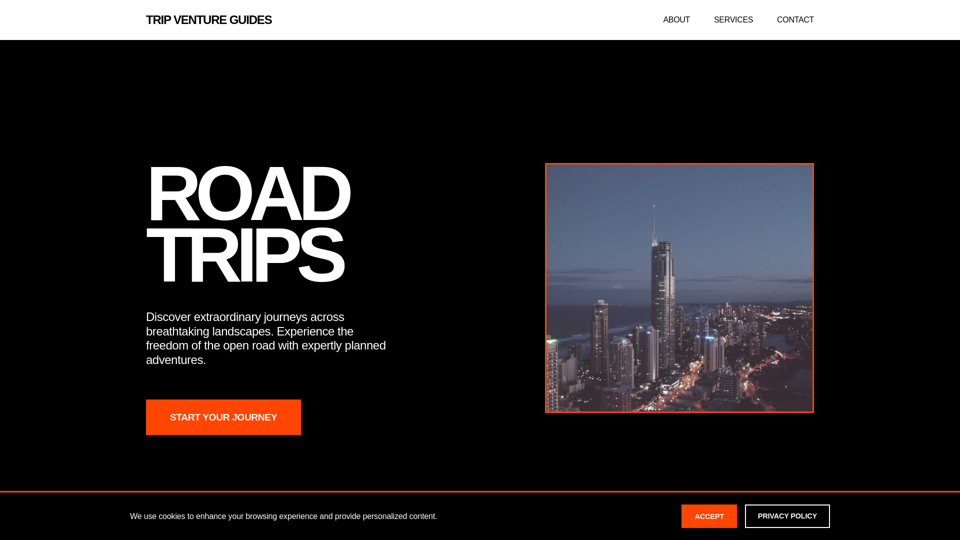 website screenshot of https://tripventureguides.click