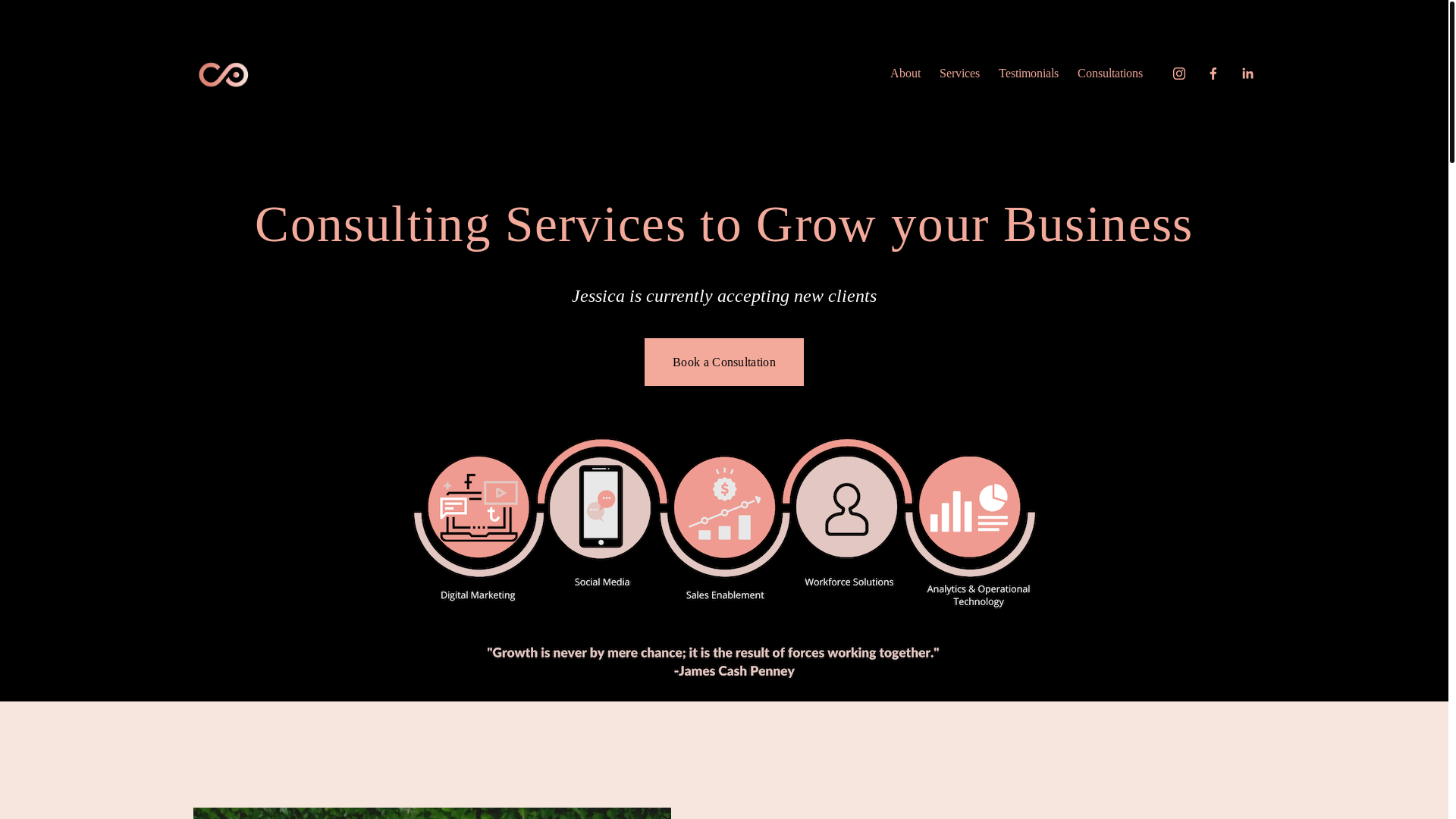 website screenshot of https://conexasconsultings.com/