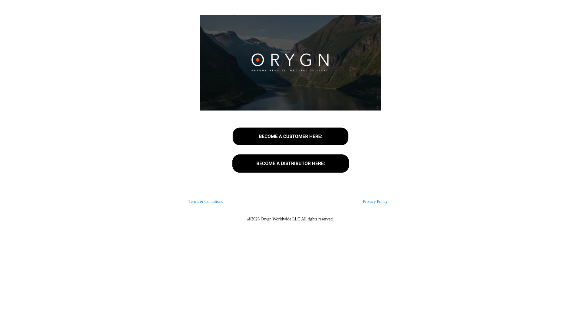 website screenshot of https://stammensales.com/