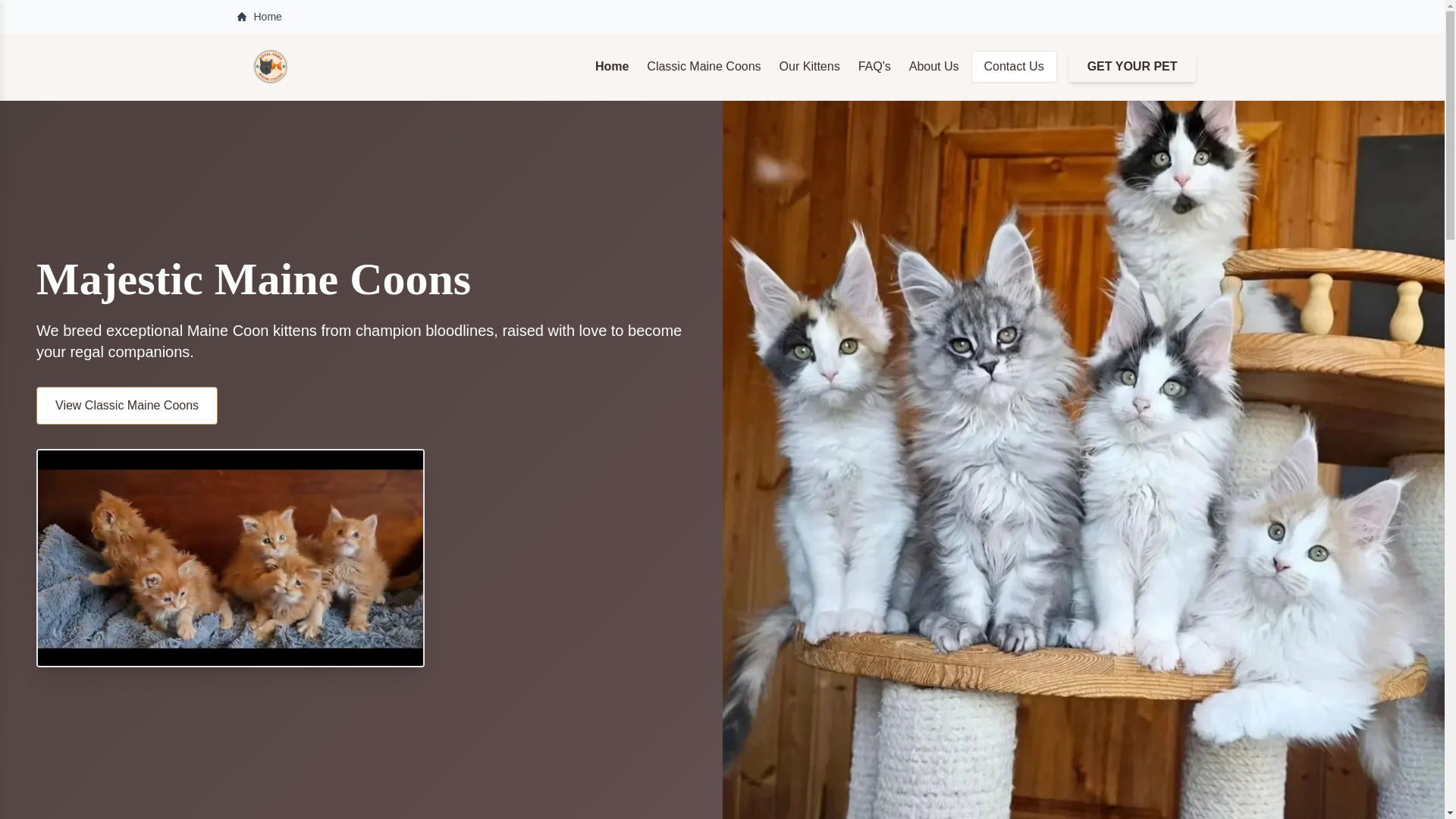 website screenshot of https://royalpawsmainecoons.com/