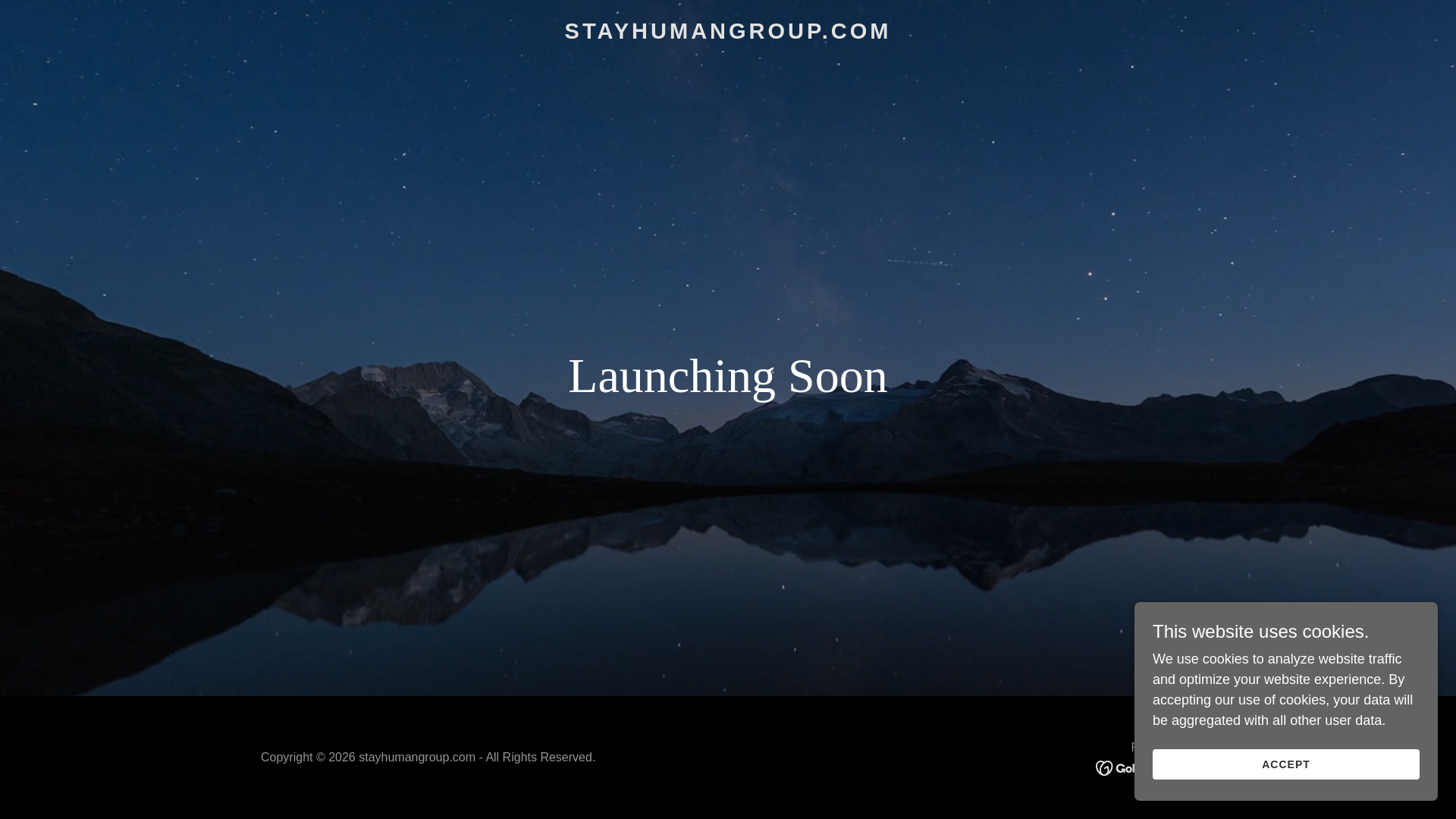 website screenshot of https://stayhumangroup.com/