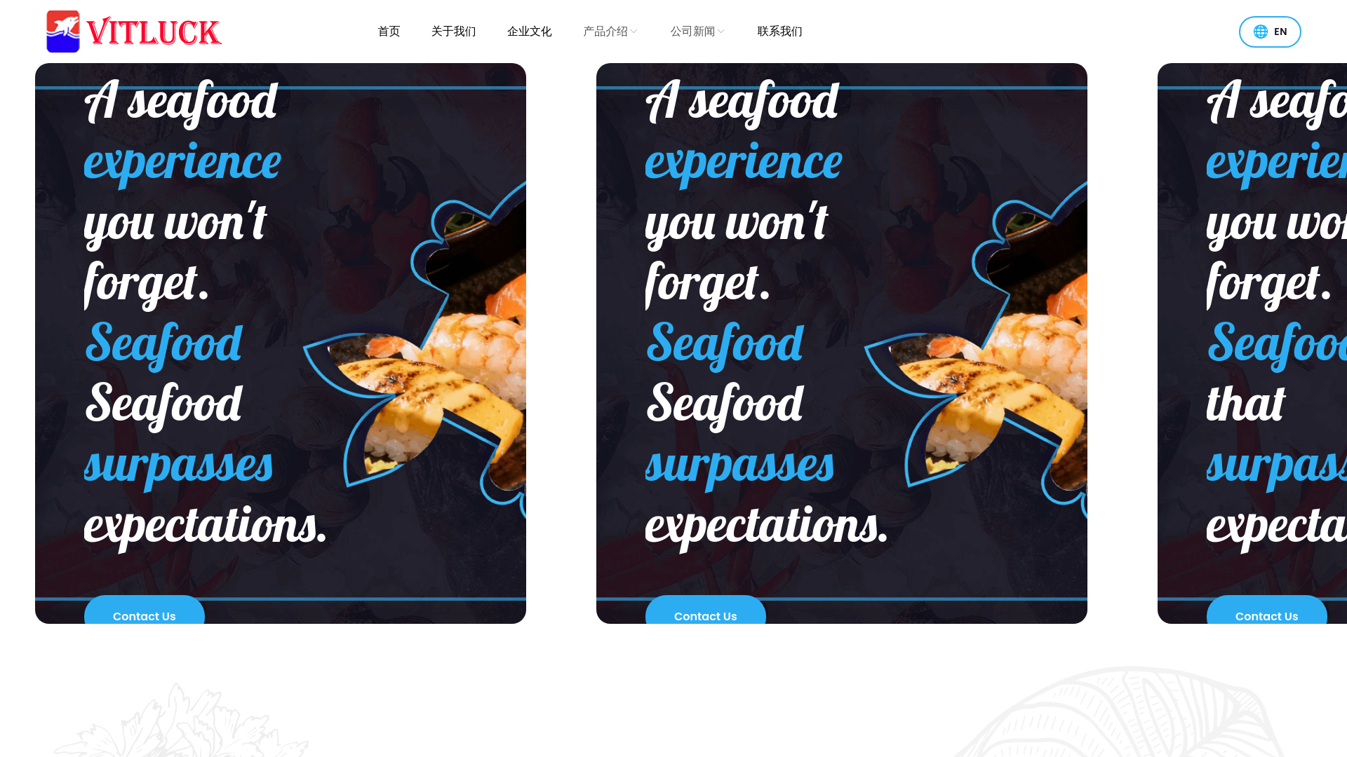 website screenshot of https://vitluck.cn/