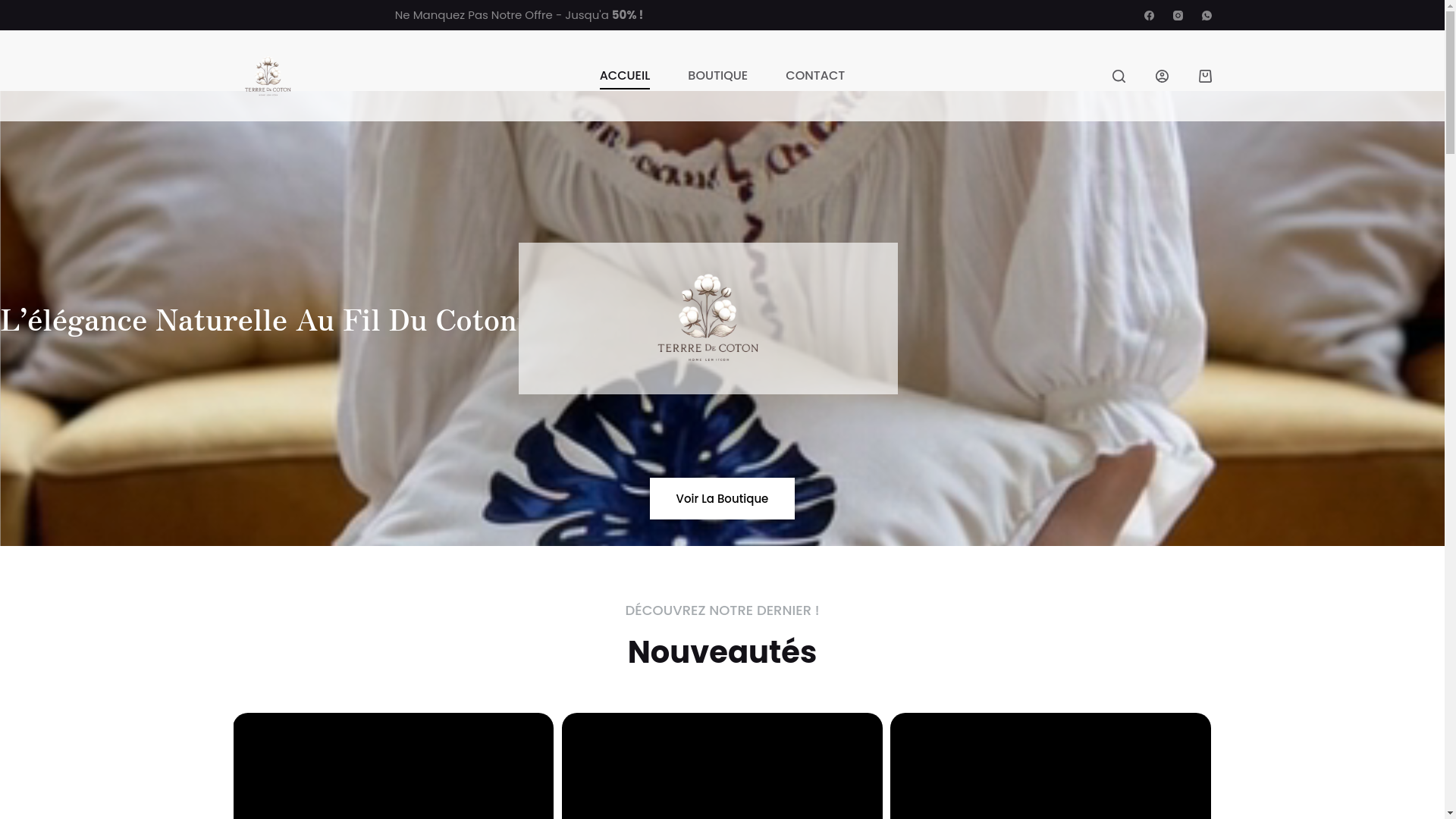 website screenshot of https://terredecotons.store/