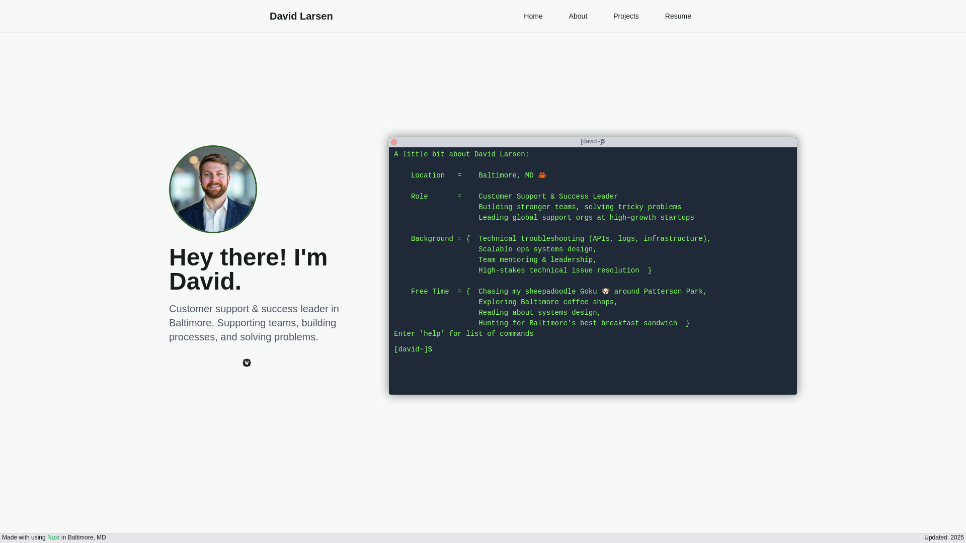 website screenshot of https://davidlarsen.me/