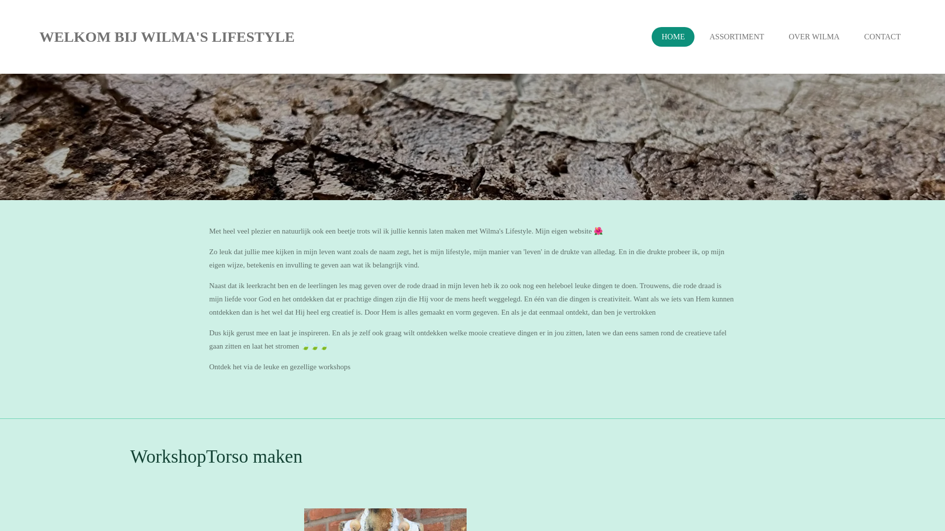 website screenshot of https://wilmaslifestyle.be