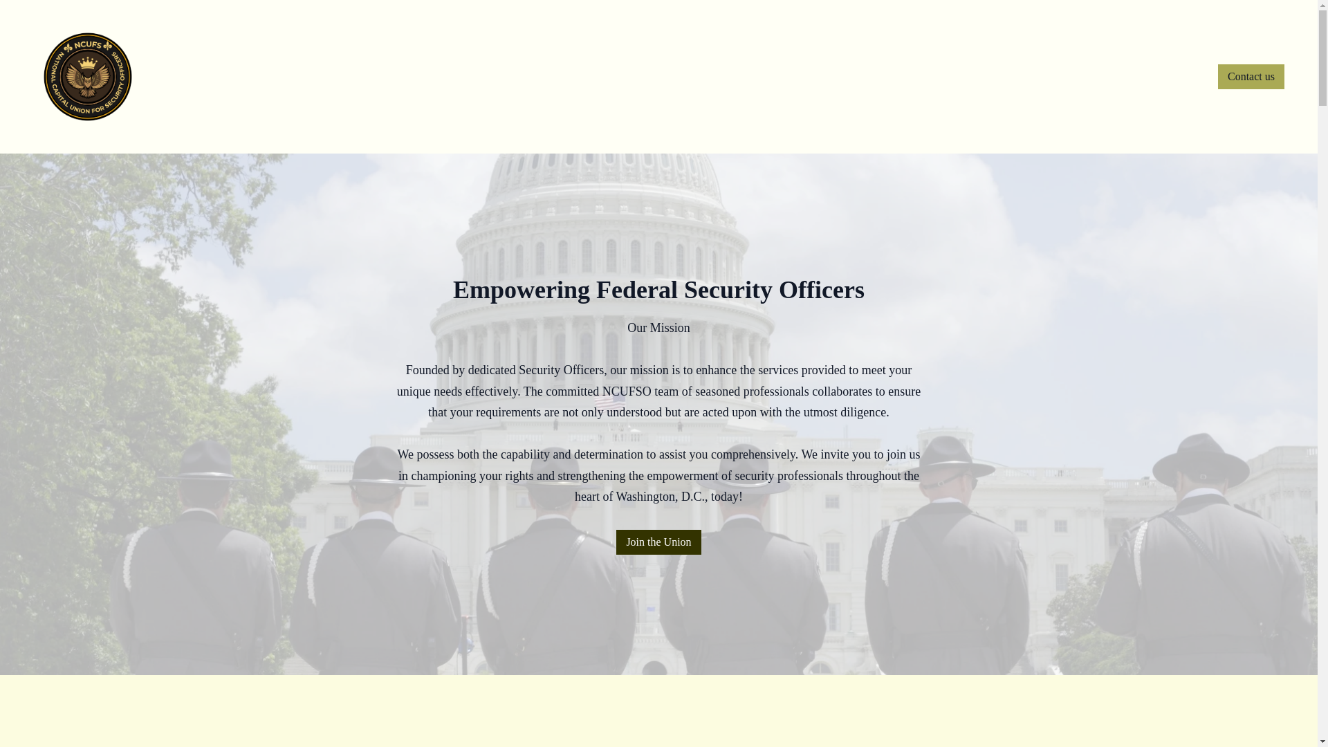 website screenshot of https://nationalcapitalunionforsecurity.com/