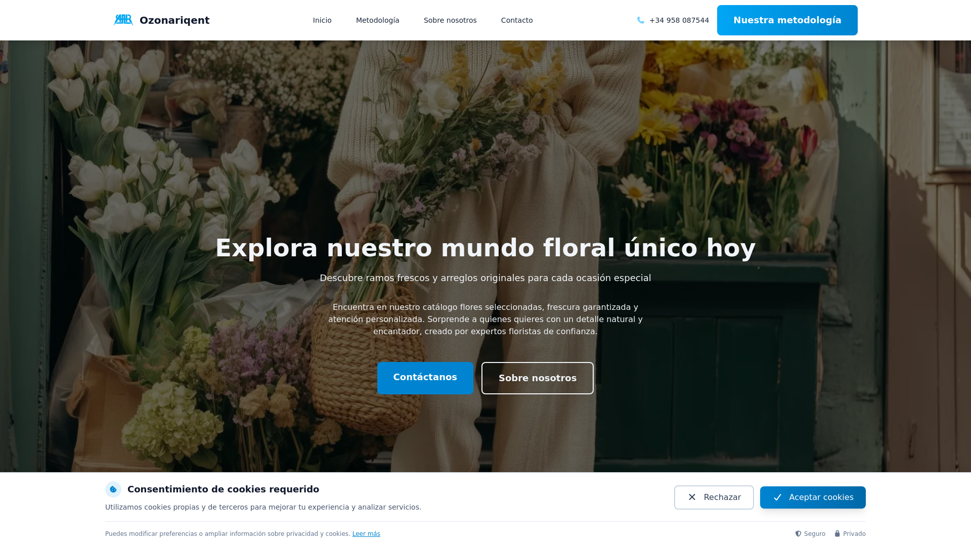 website screenshot of https://ozonariqent.com/