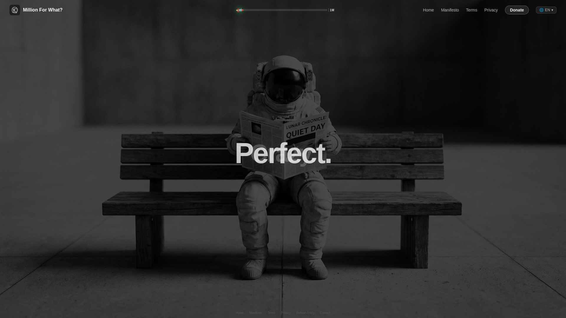 website screenshot of https://millionforwhat.com/