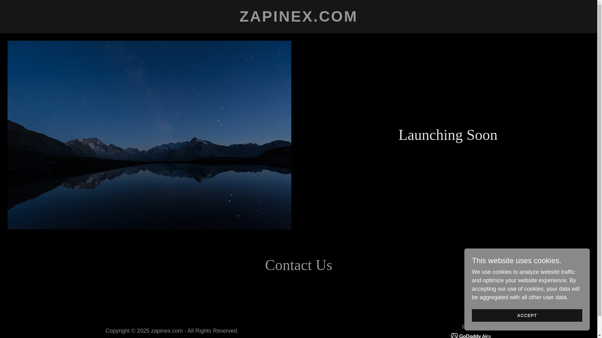 website screenshot of https://zapinex.com/