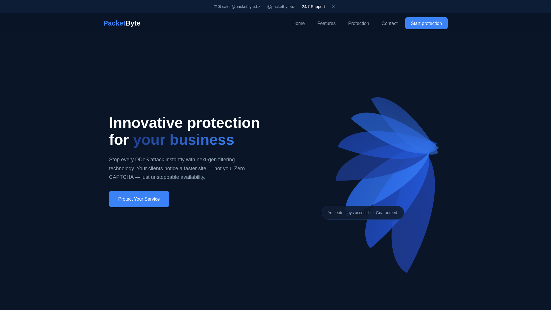 website screenshot of https://packetbyte.bz/