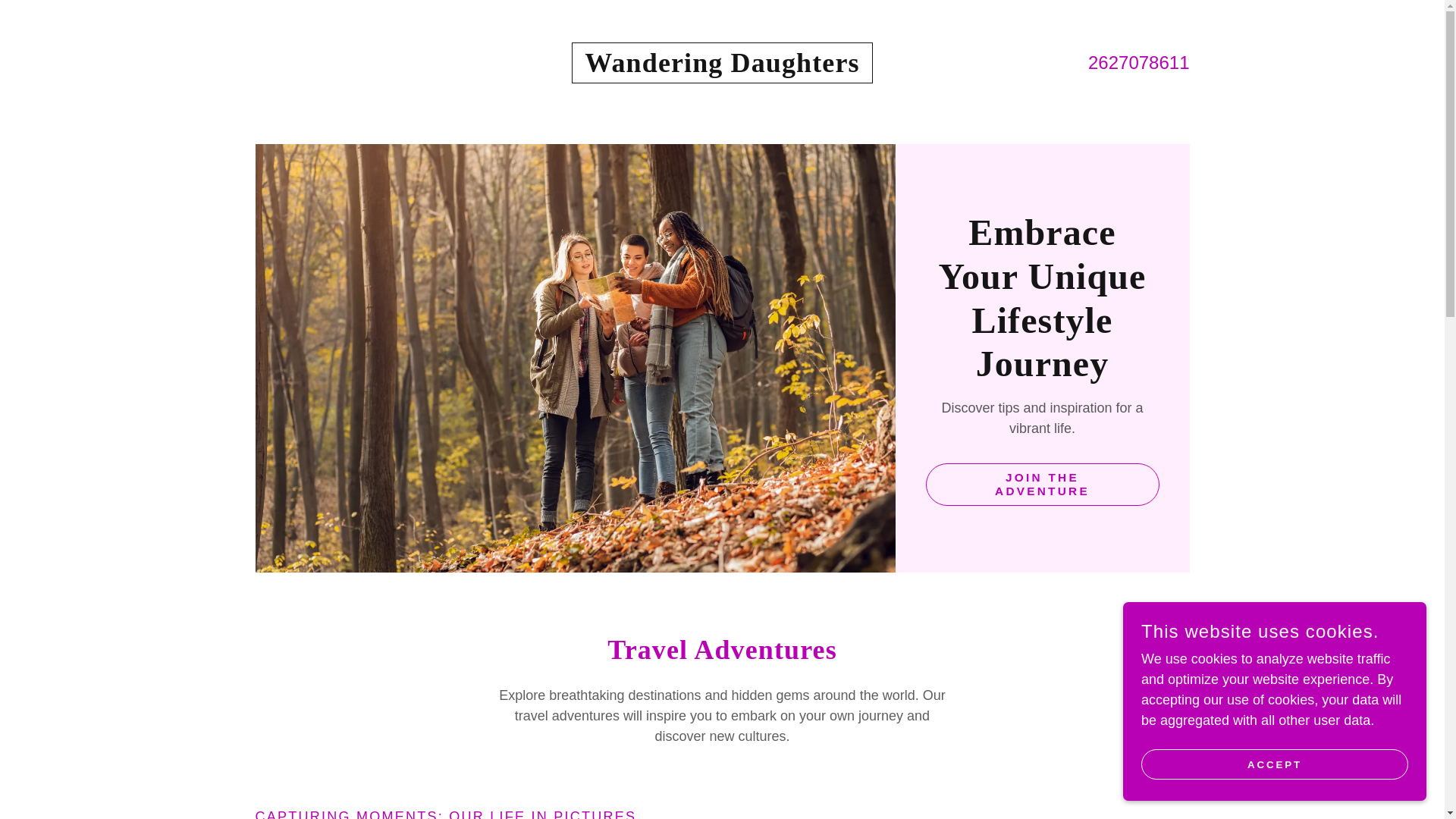 website screenshot of https://wanderingdaughters.xyz/