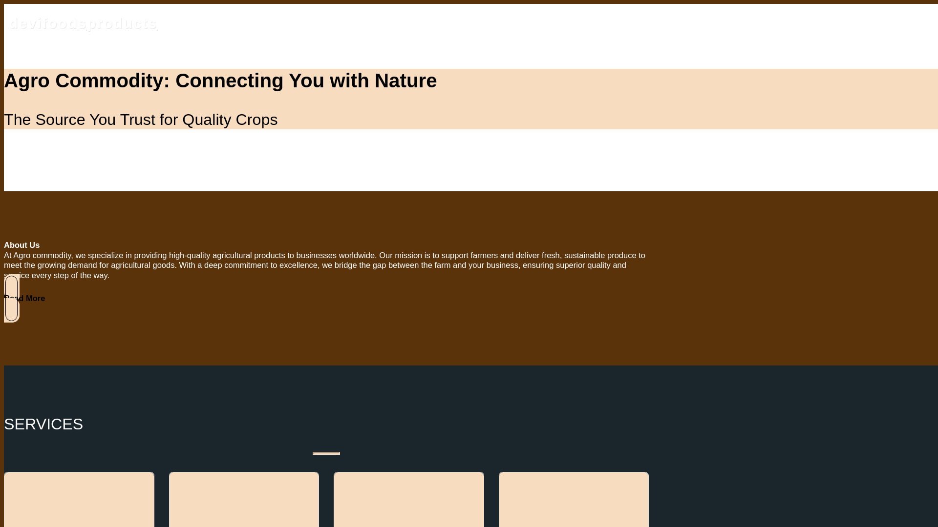 website screenshot of https://devifoodsproducts.in