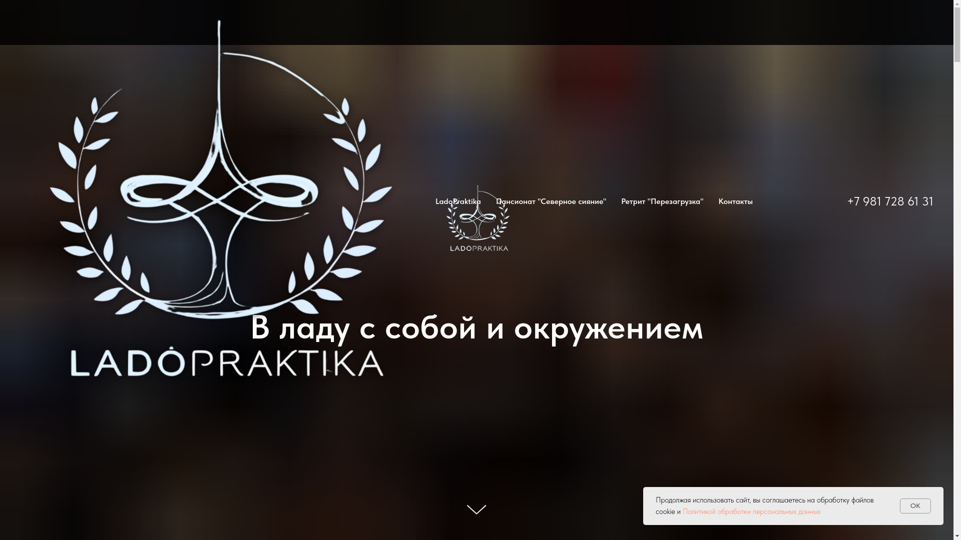 website screenshot of https://ladopraktika.ru/