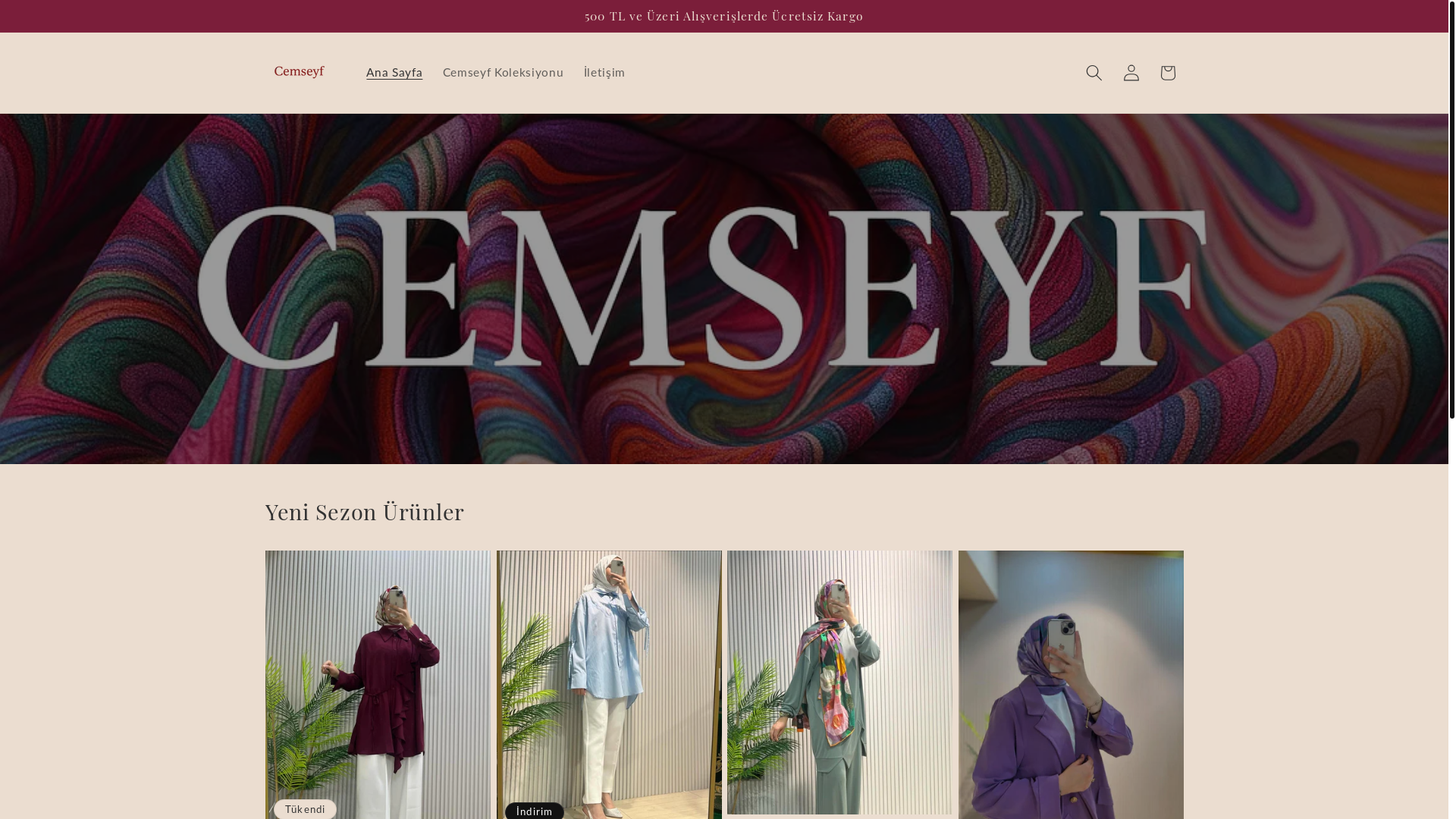 website screenshot of https://cemseyf.com/