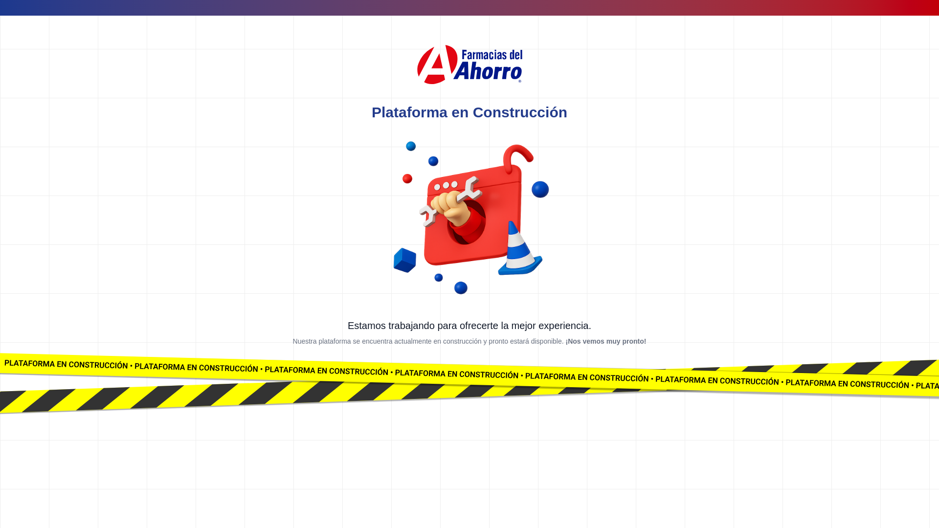 website screenshot of https://portal-paciente.net/