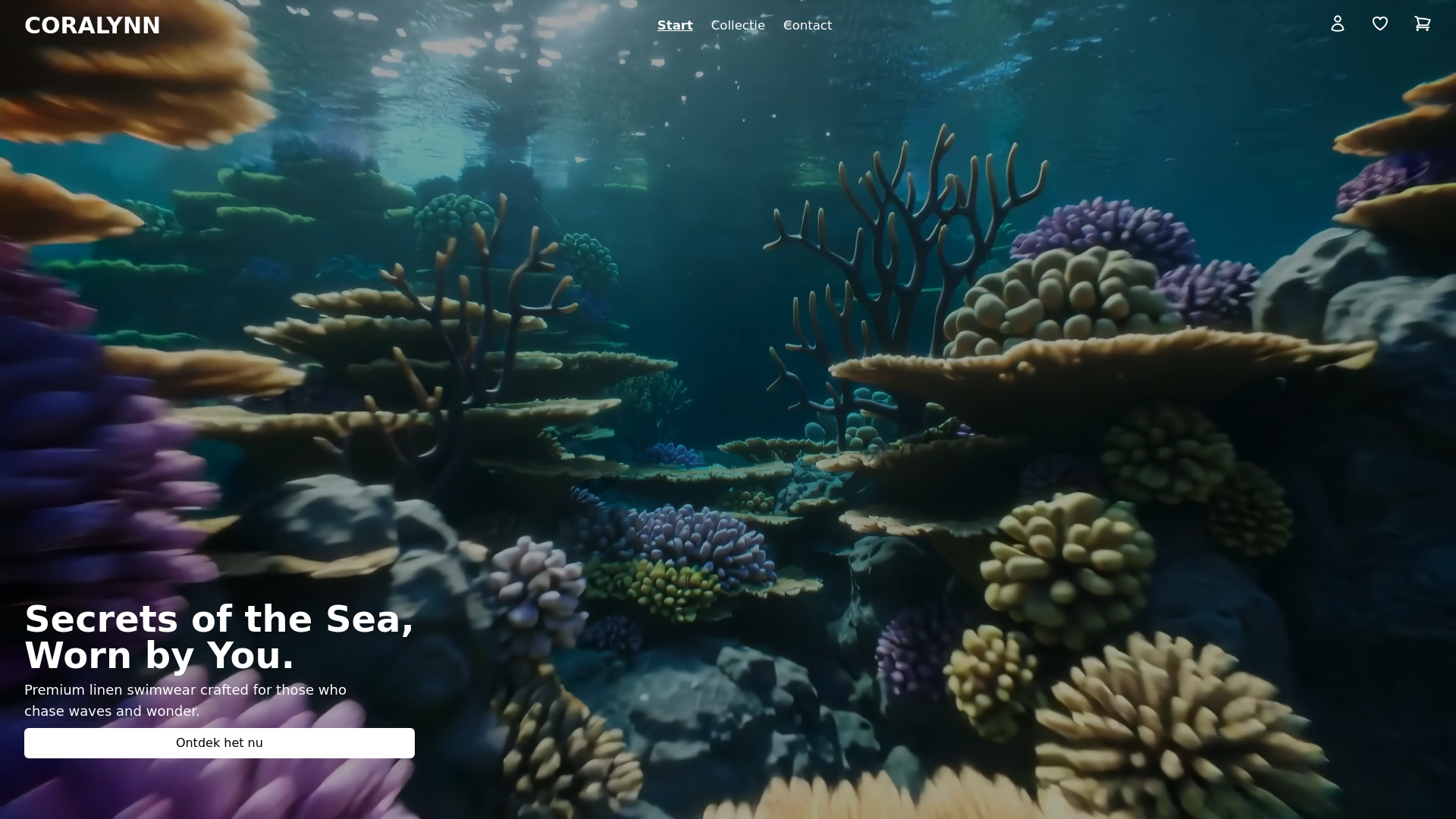website screenshot of https://coralynn.pages.dev/