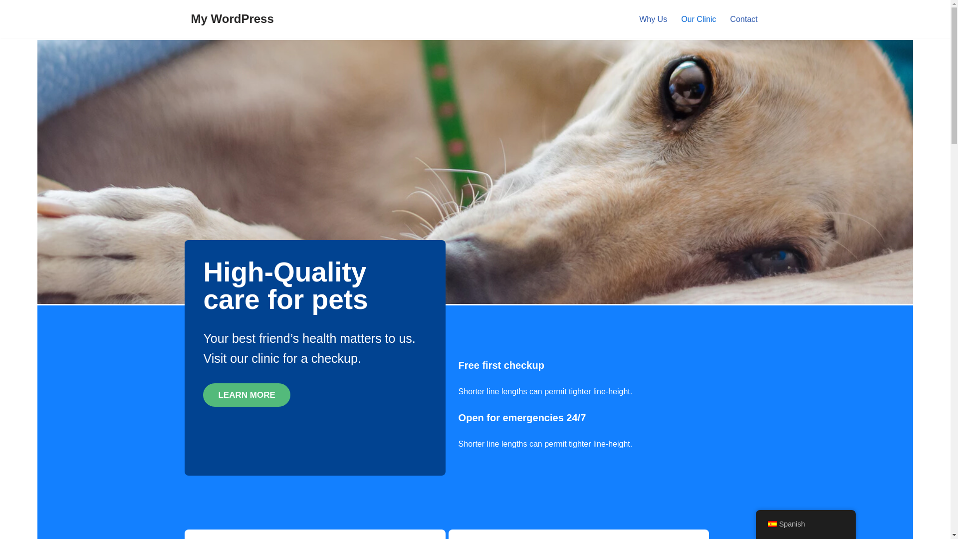 website screenshot of https://healthsafety.com.es/