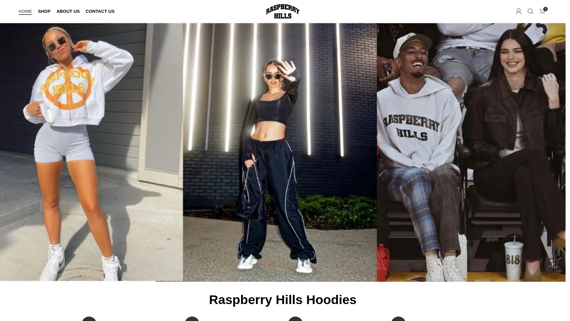 website screenshot of https://thegvgallerystores.com