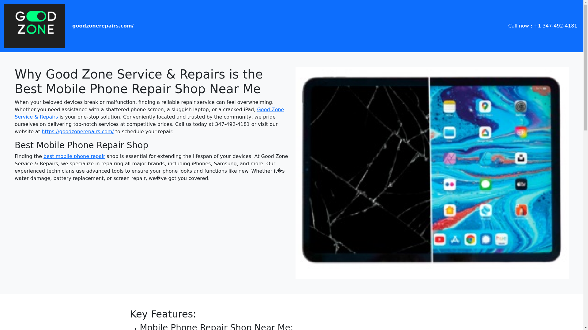 website screenshot of https://whygoodzoneservice.pages.dev/