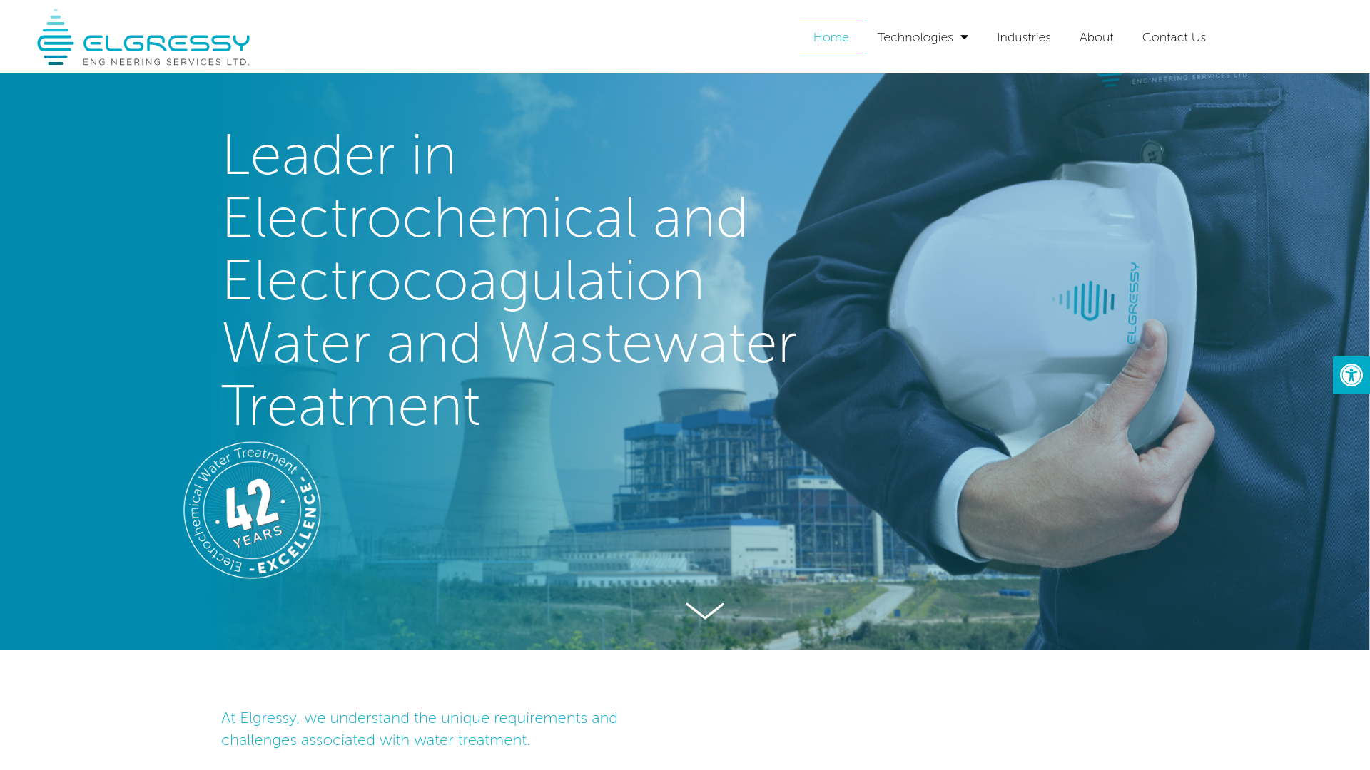 website screenshot of https://theelgressy.com