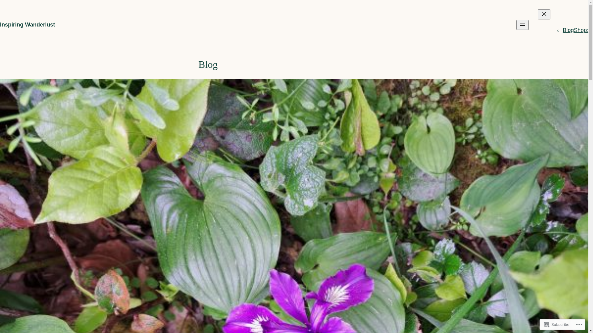 website screenshot of https://inspiringwanderlustcoms.com/