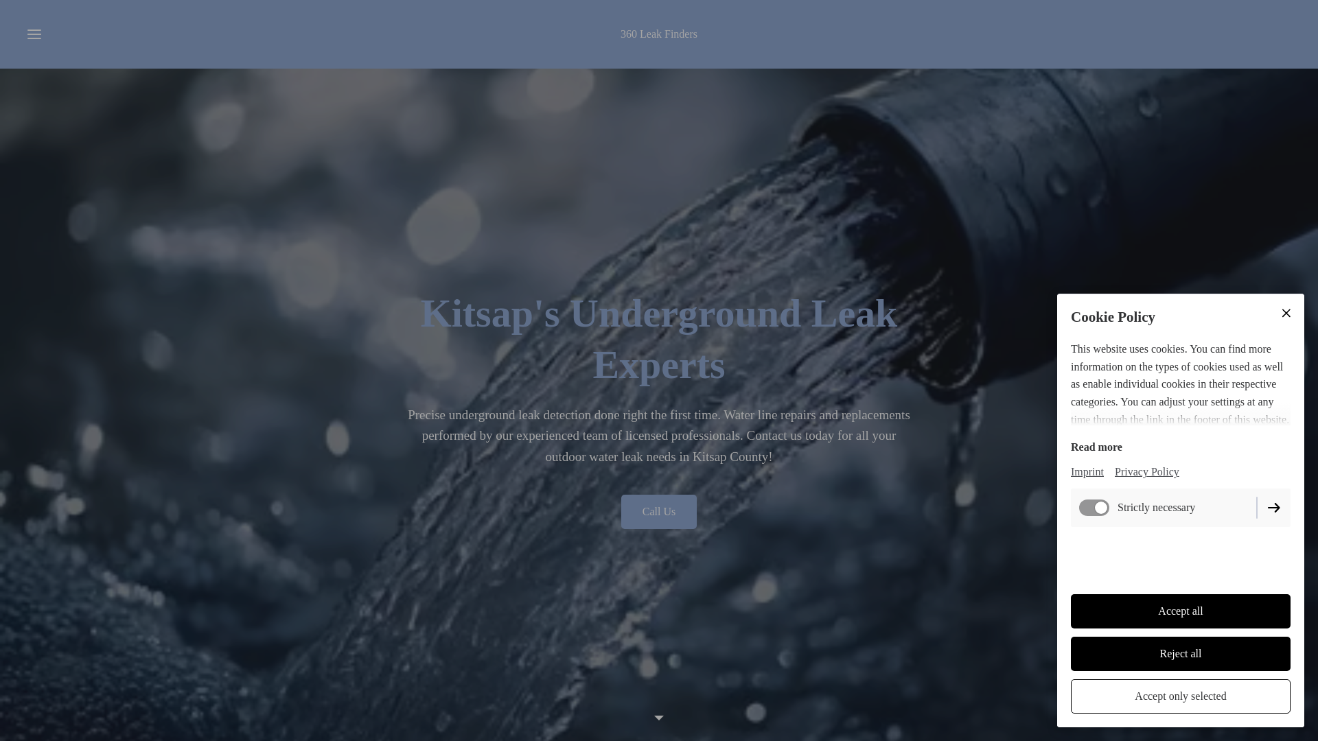 website screenshot of https://360leakfinders.com/