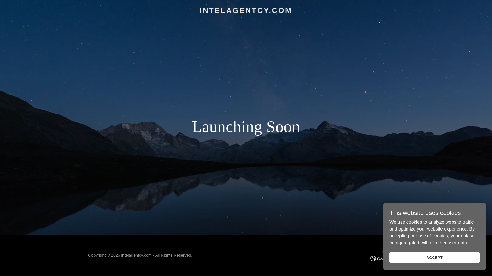 website screenshot of https://intelagentcy.com