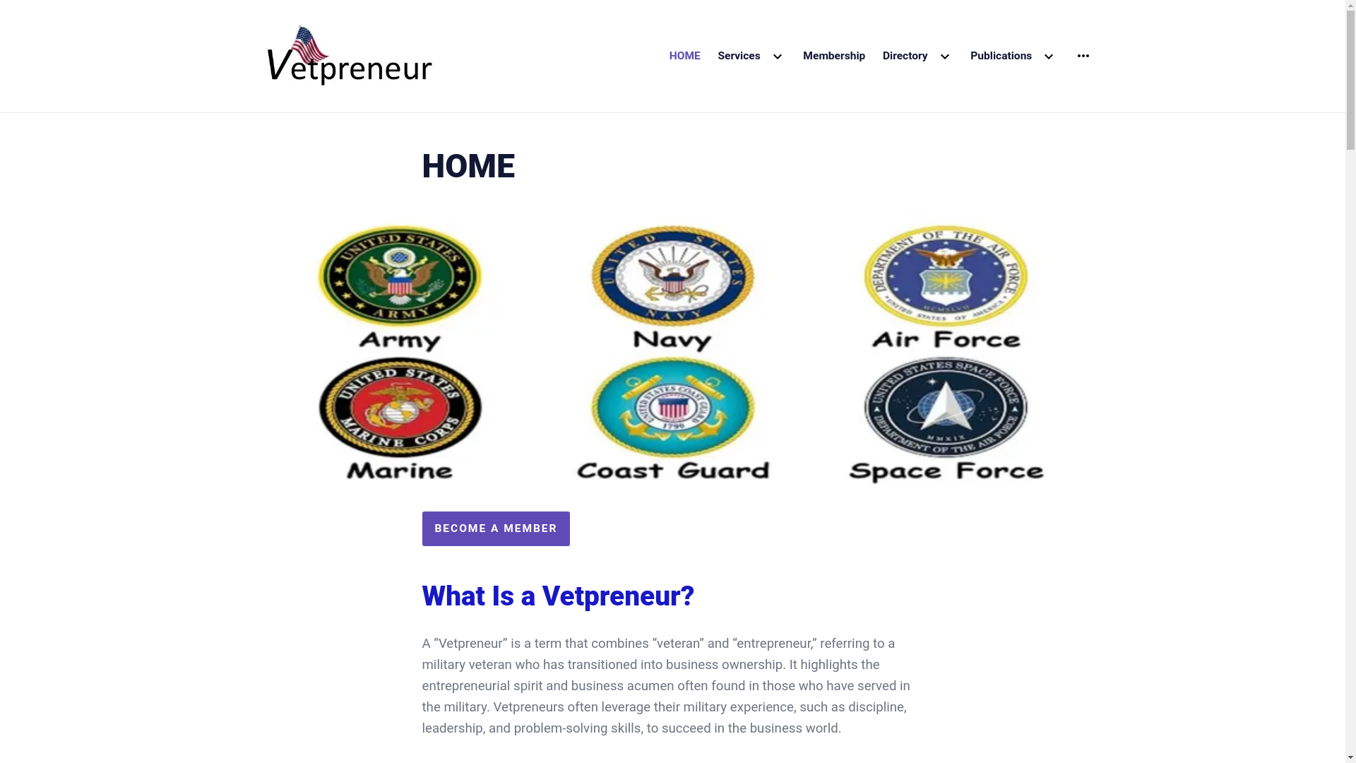 website screenshot of https://vetpreneurdirectory.com/