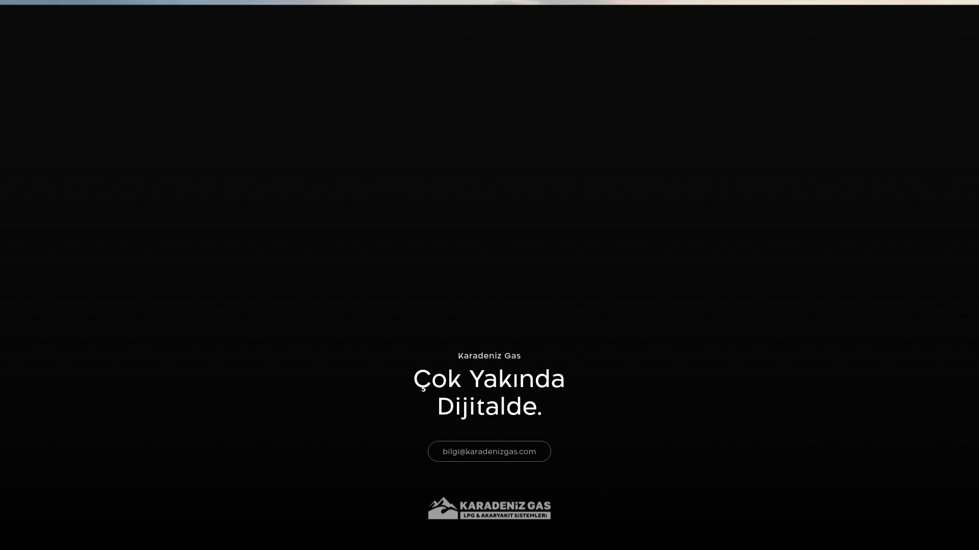 website screenshot of https://karadenizgas.com/