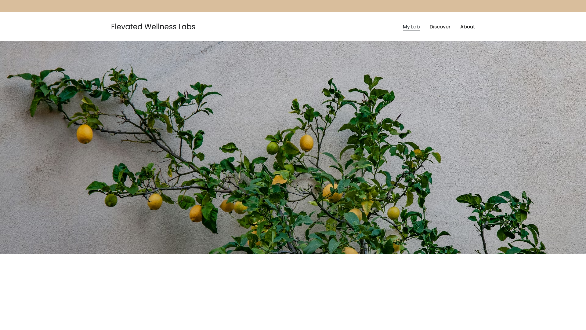 website screenshot of https://elevatedwellnesslabs.com/