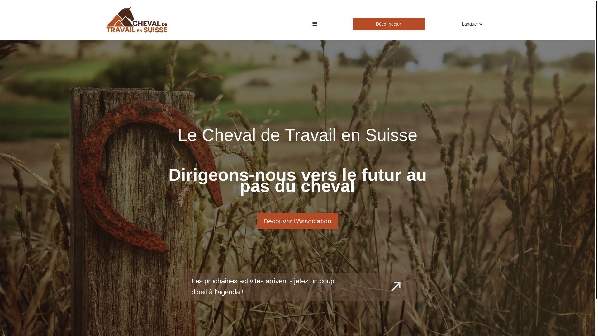 website screenshot of https://arbeitspferdeschweiz.ch/