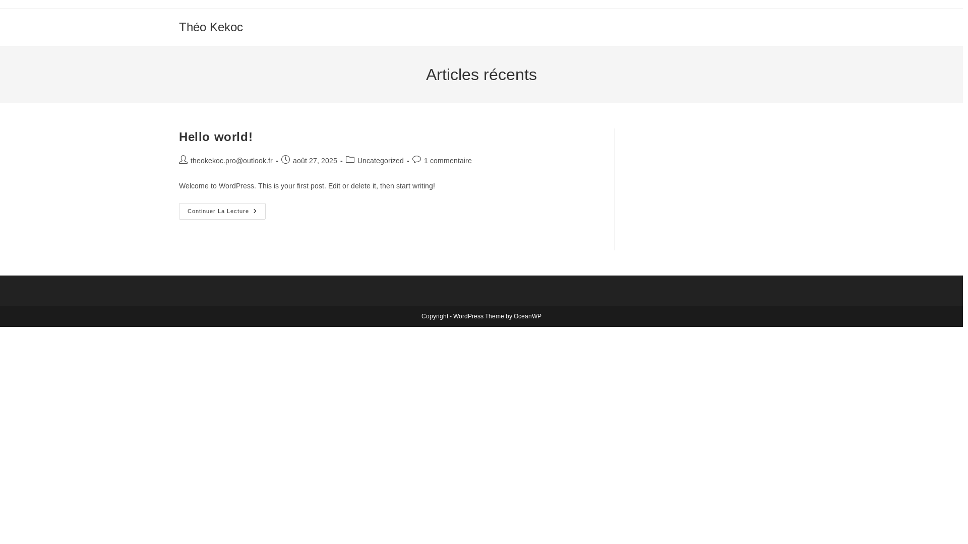 website screenshot of https://theokekoc.fr/