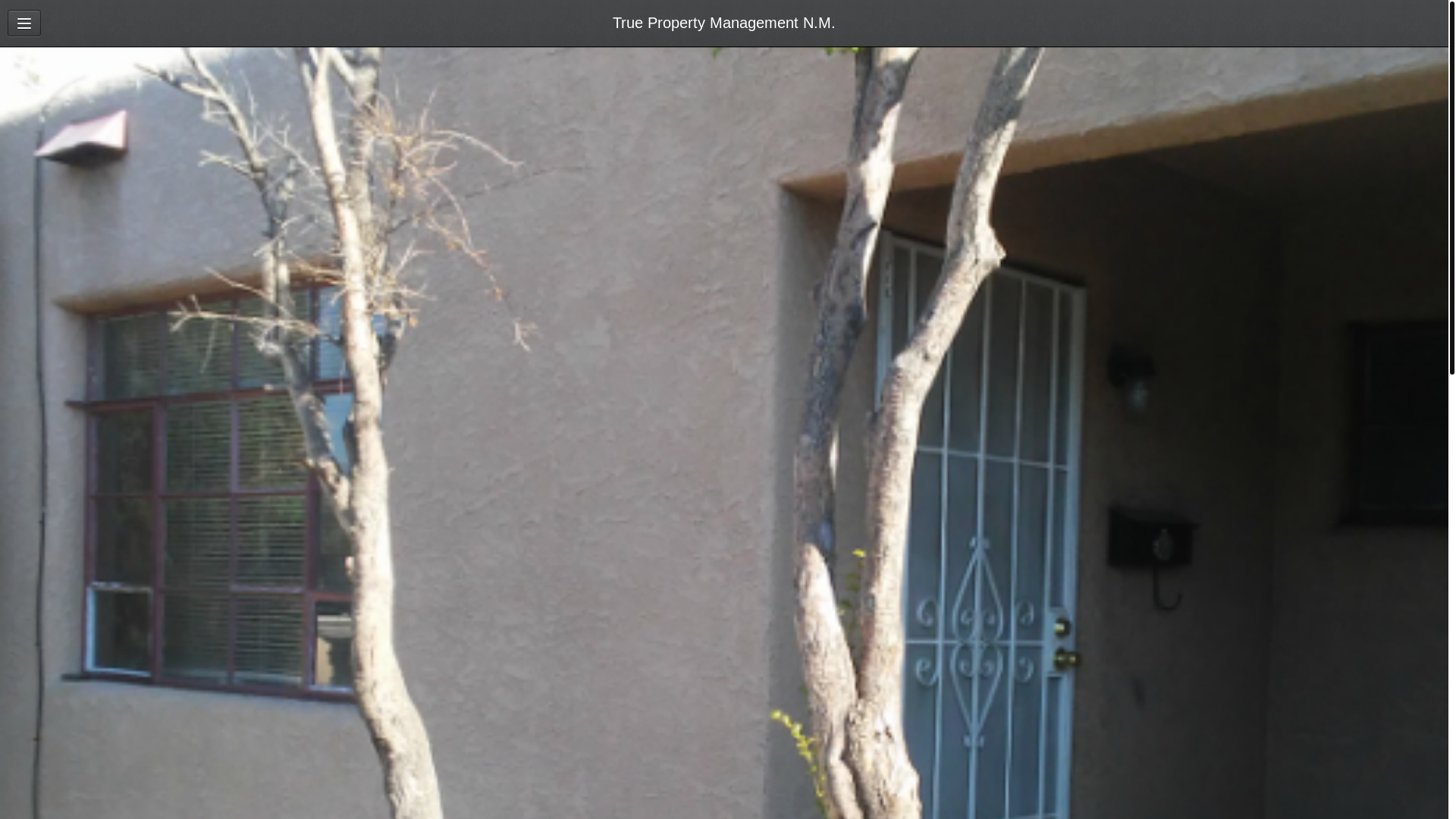 website screenshot of https://itsbrucehere.com/