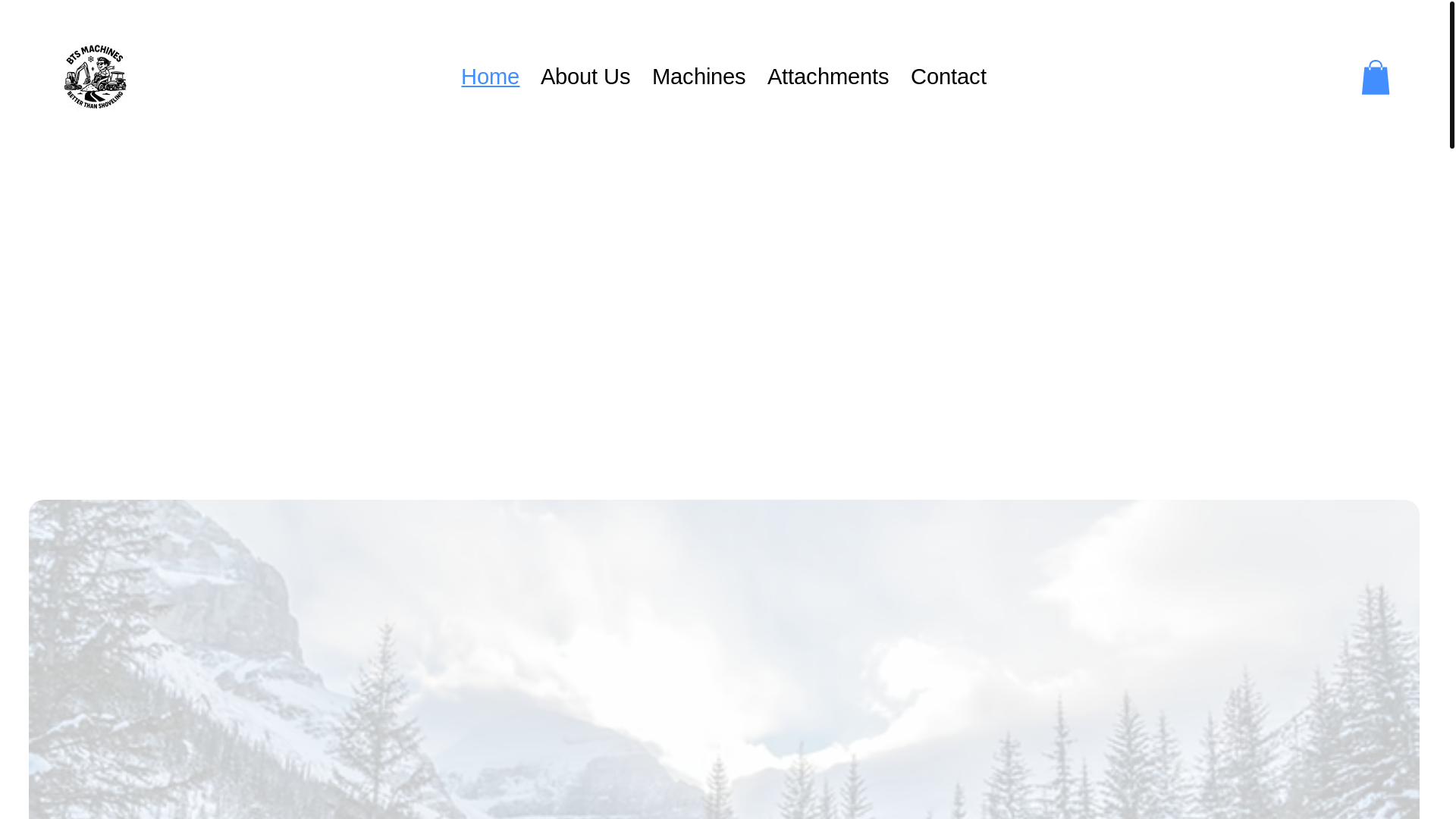 website screenshot of https://btsmachinesllc.com/