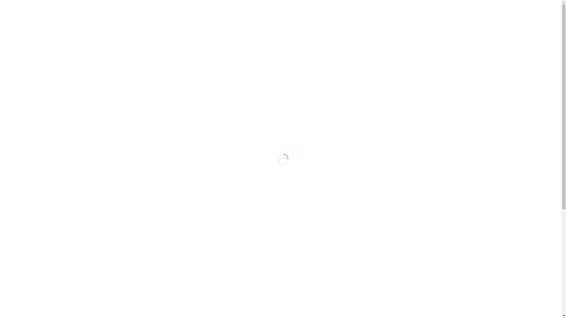 website screenshot of https://nobomeat.com/